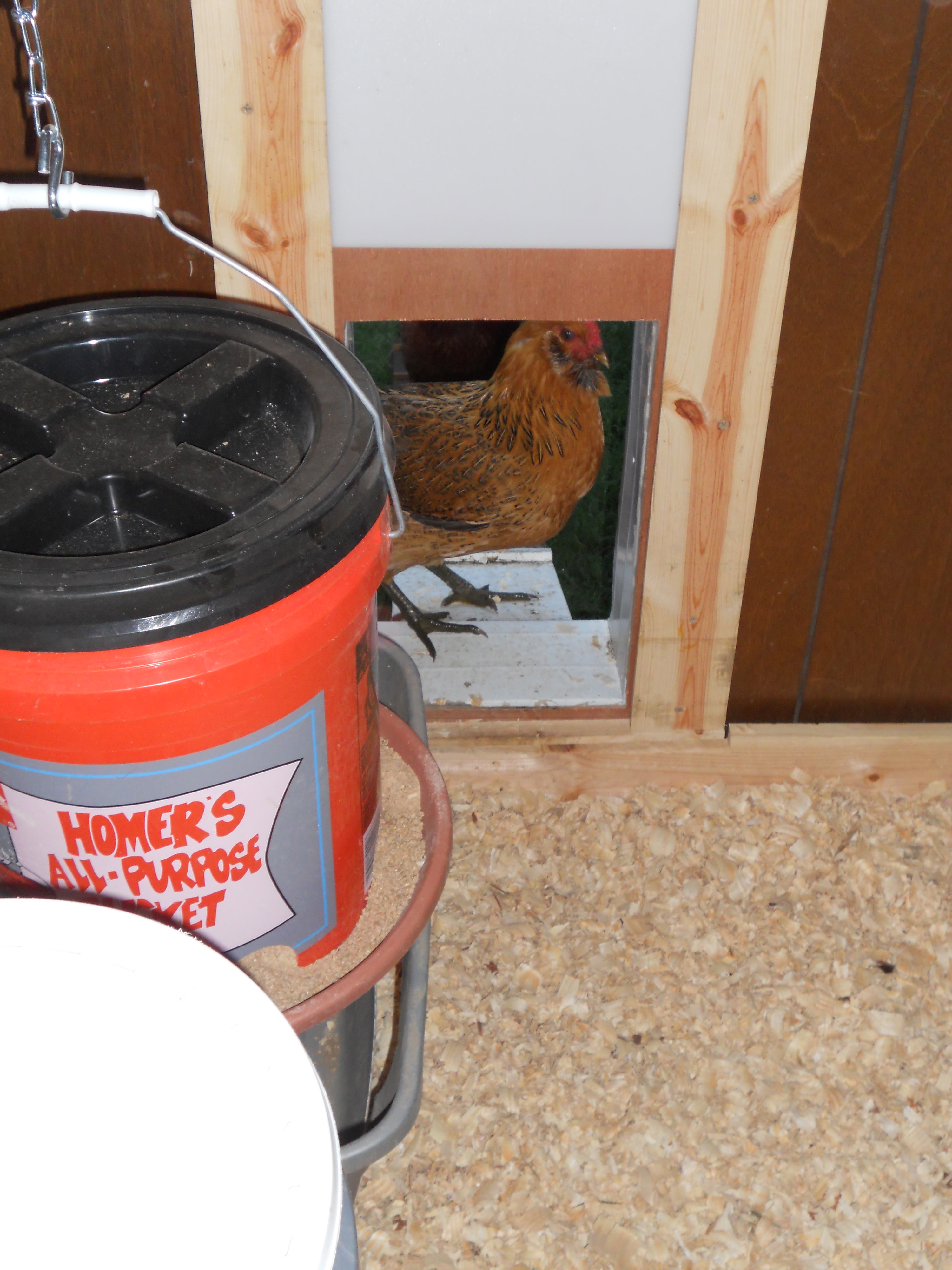 Chicken pop door. I used a vinyl cutting board that slides in a frame.