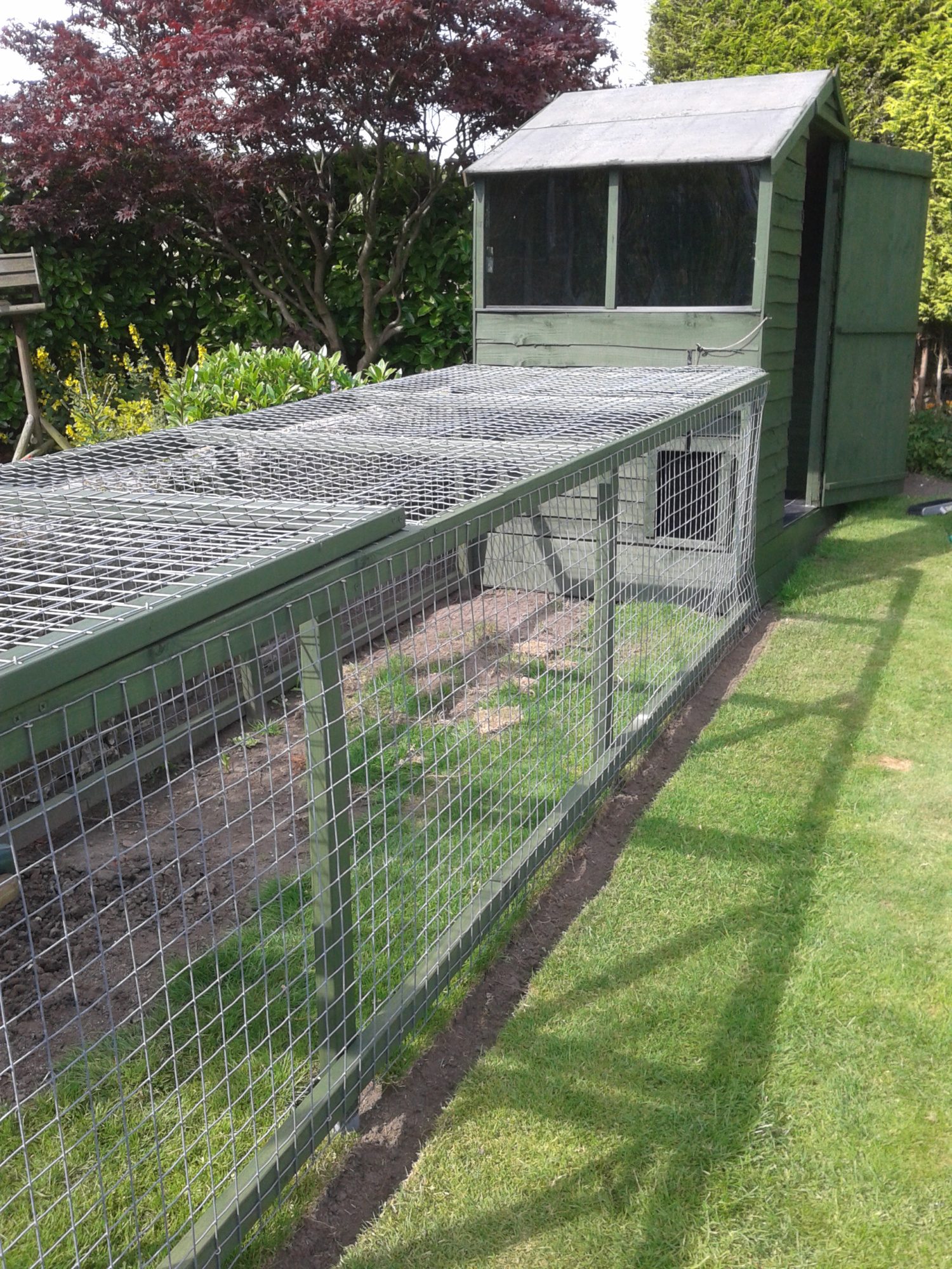 Chicken run and coop