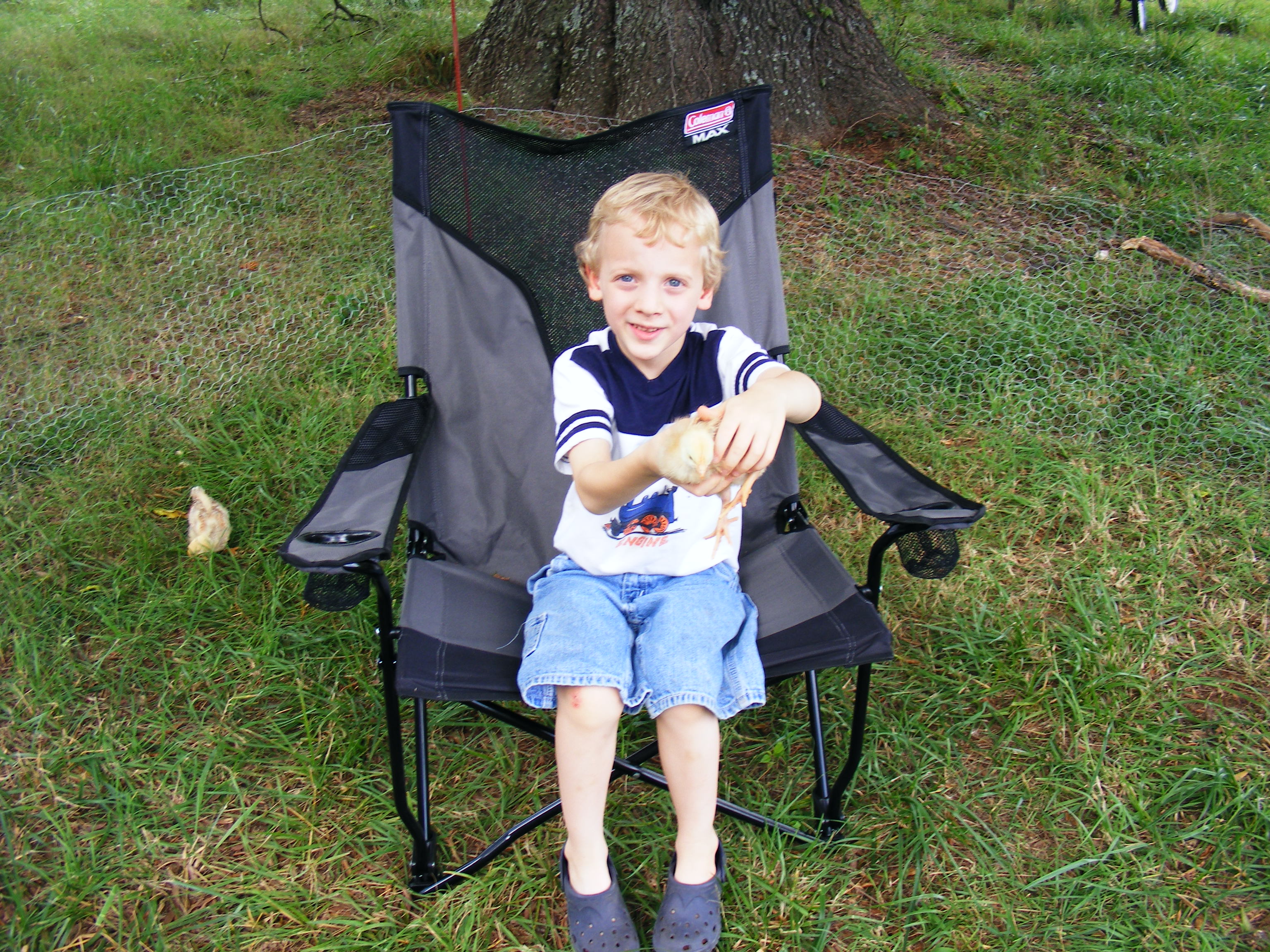 Chicken Shepherd