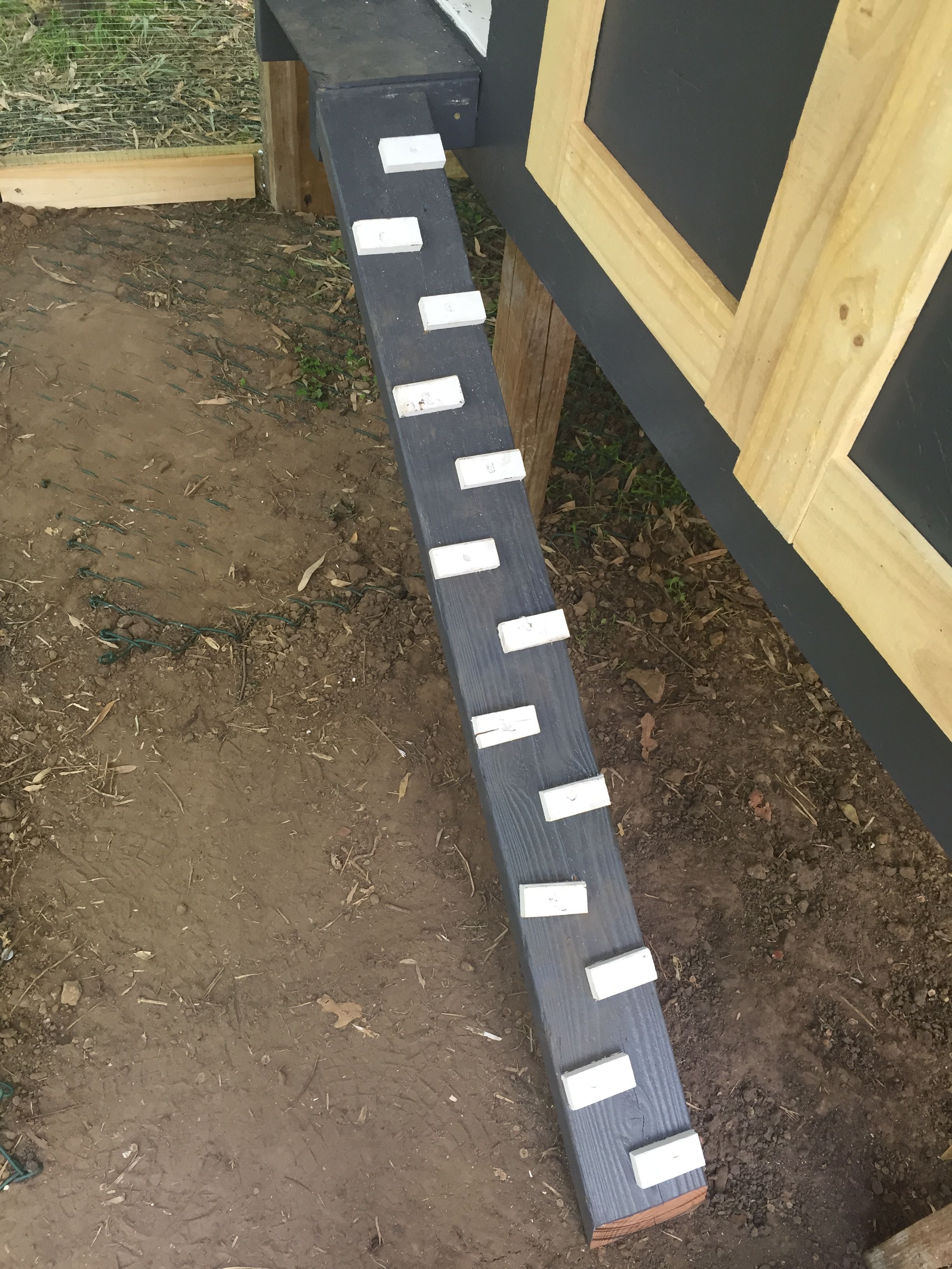 Chicken stairs up to front balcony