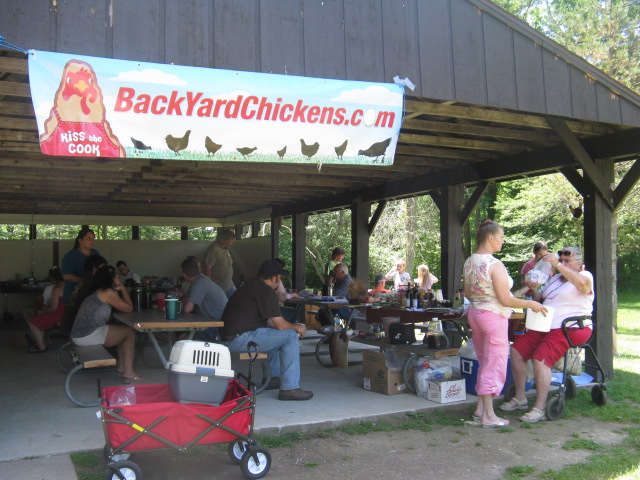 chicken stock 2012