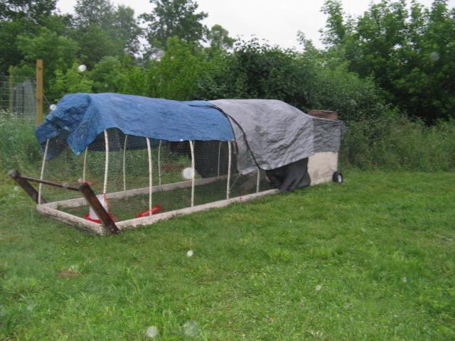 chicken tractor.4'x4' coop with 12' run