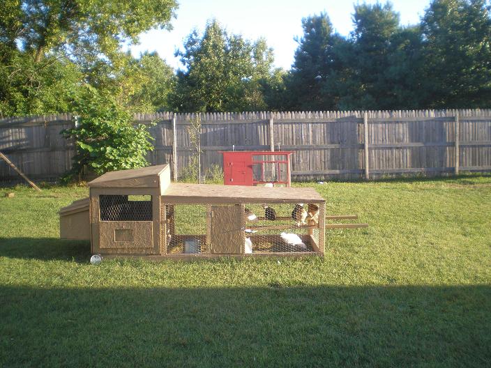 Chicken tractor holes 4-6 Chickens
brooder in background
