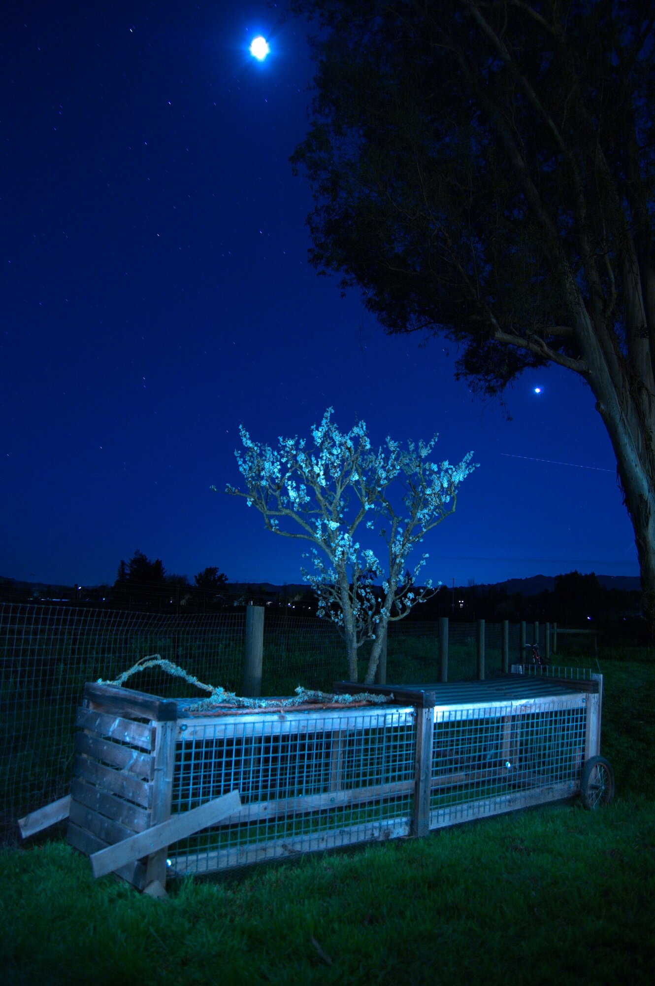 CHICKEN TRACTOR NIGHT.jpg