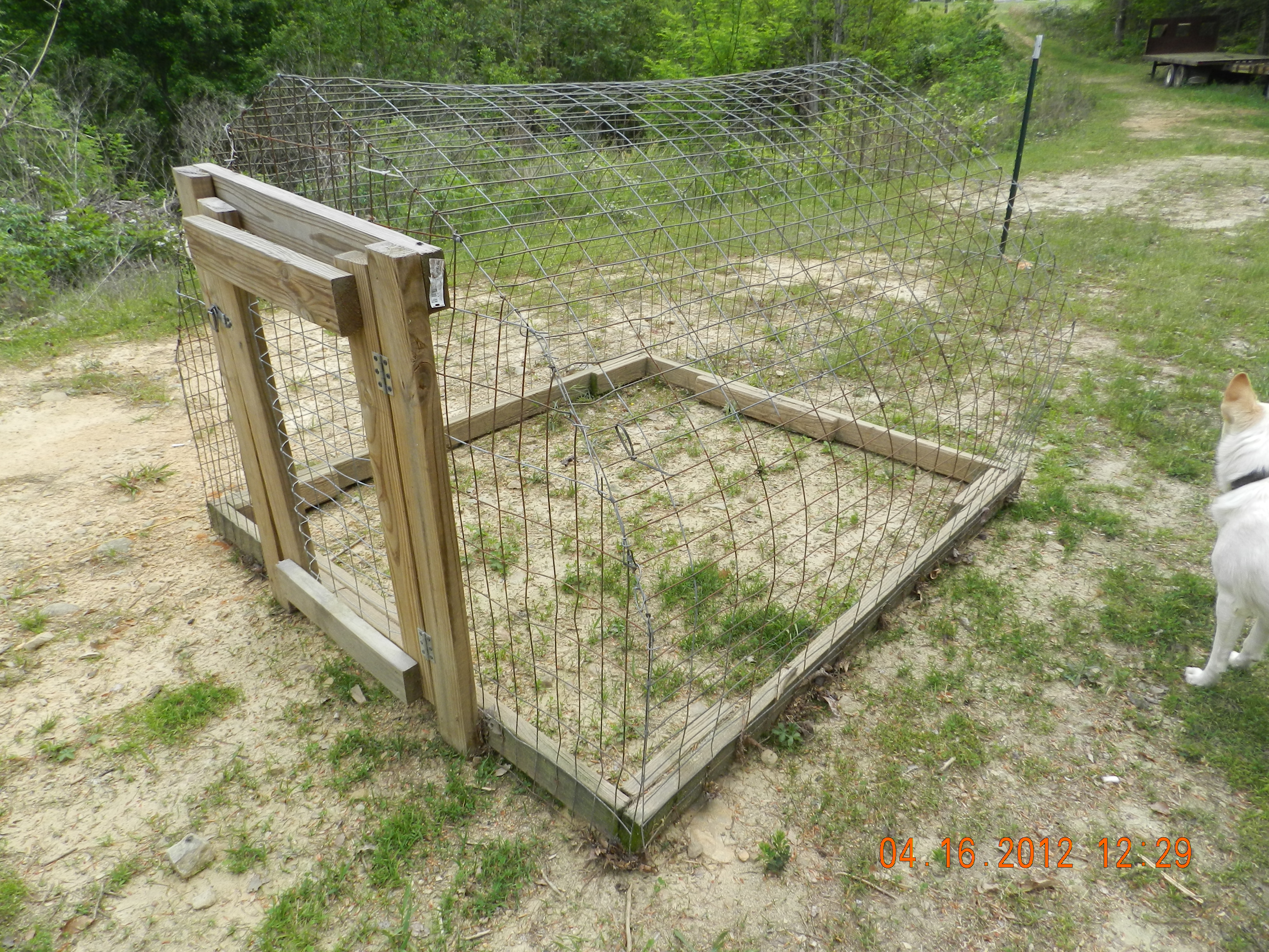 chicken tractor without a tarp on it