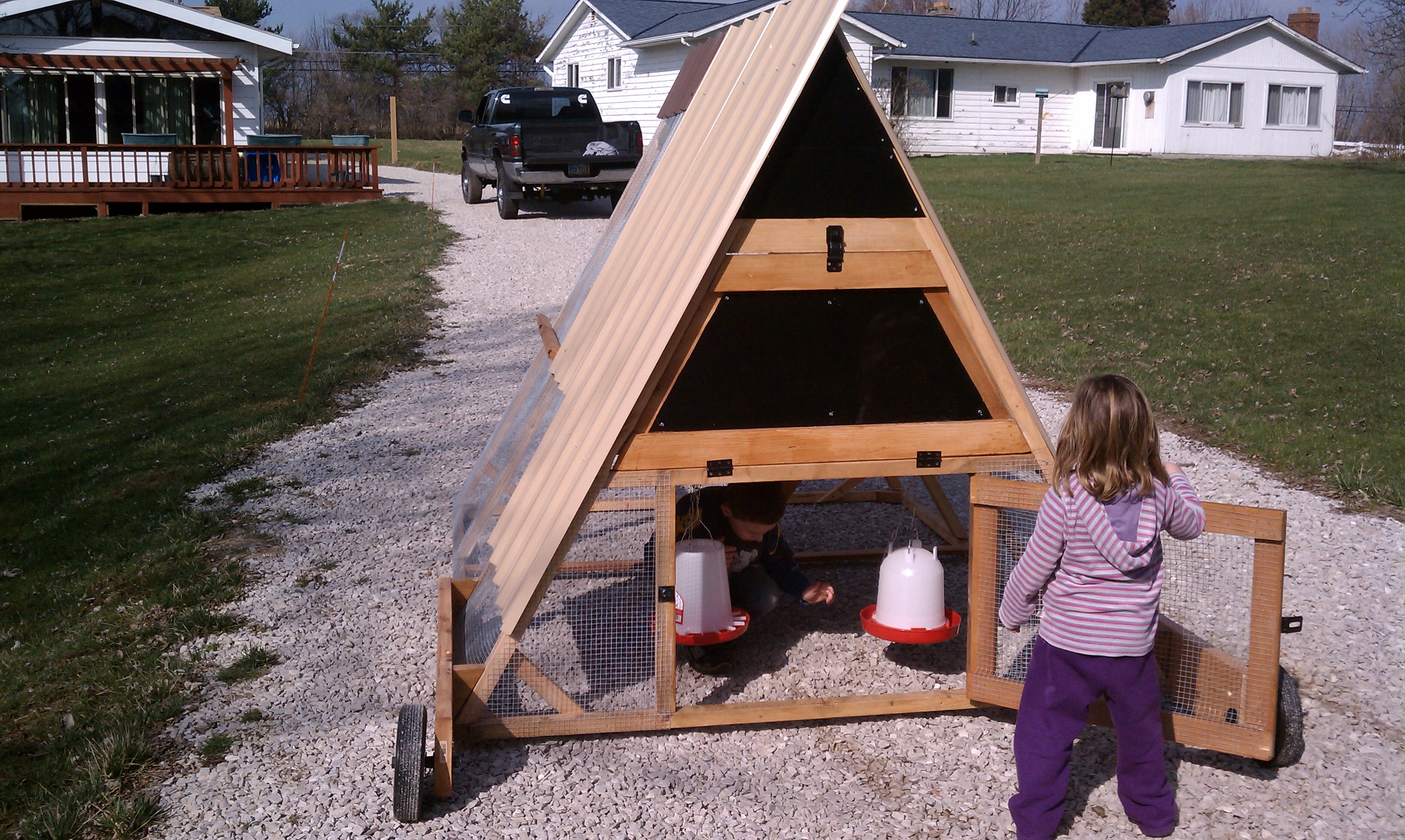 chicken tractor