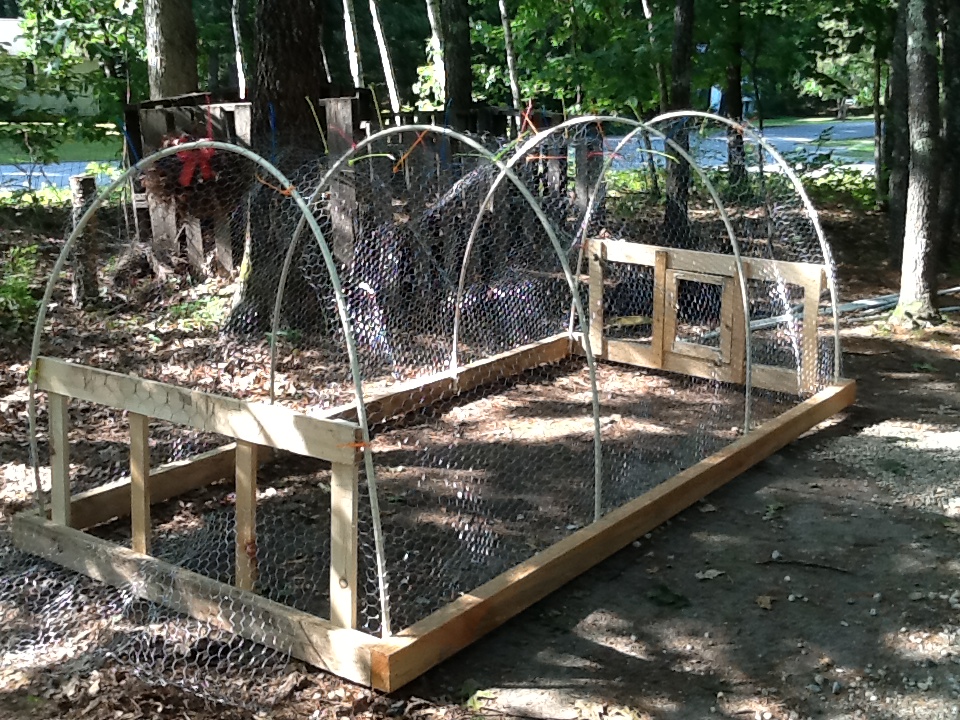 chicken tractor
