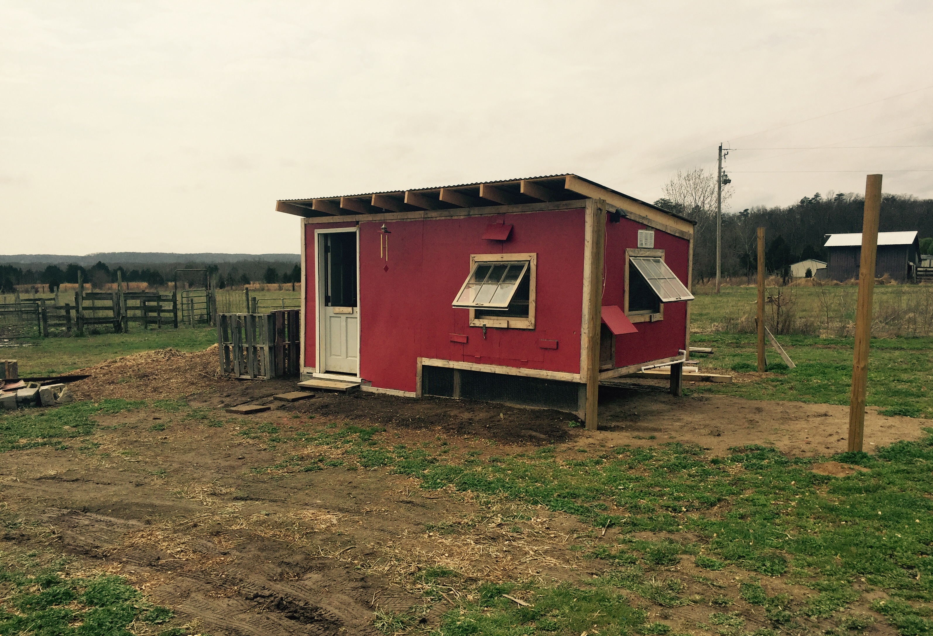 Chickens seem happy. One thing I forgot and should've done prior to moving the chicks back to the coop was to put hardware cloth over the opening between rafters. I had a chick escape last night through one. All these months of building a safe predatory proof coop 30 seconds after locking them in one escaped.