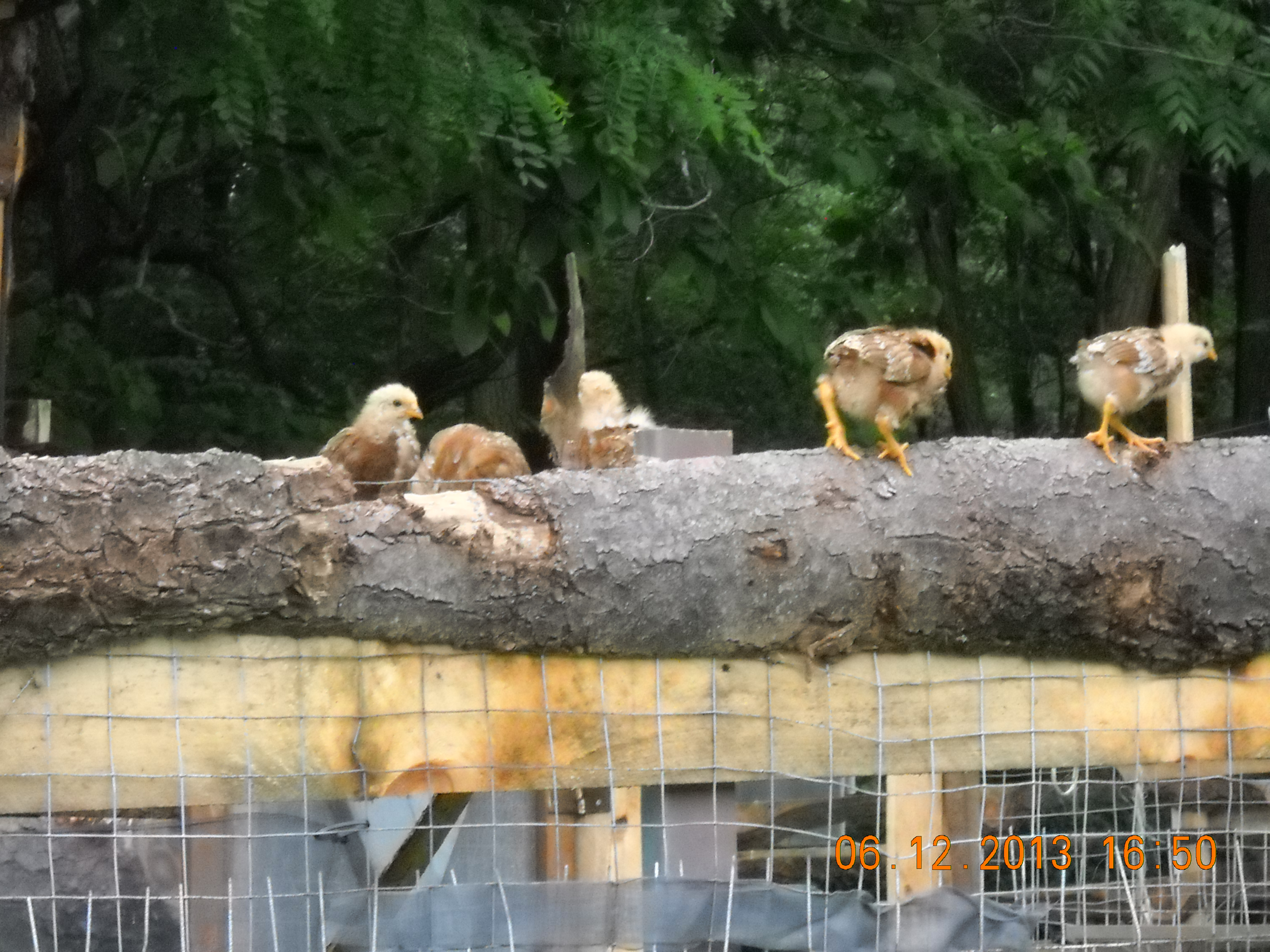 Chicks getting a clue.