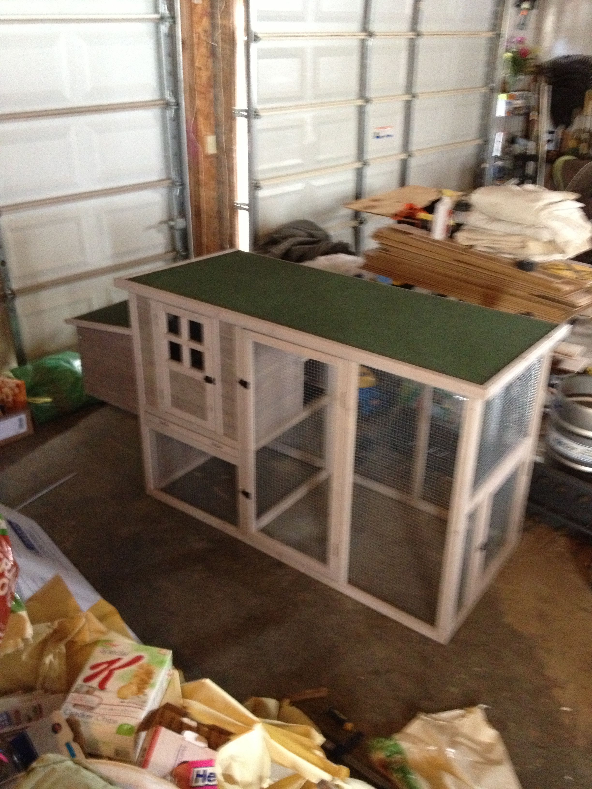 Chicks new home BackYard Chickens Learn How to Raise Chickens