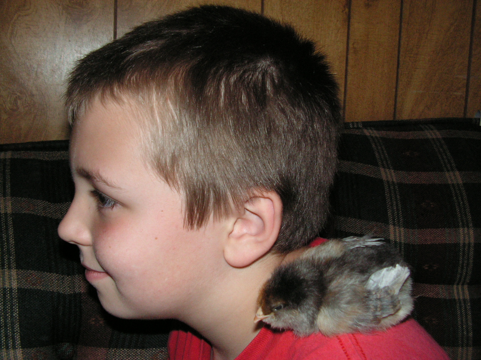 chillin with dolly on his shoulder