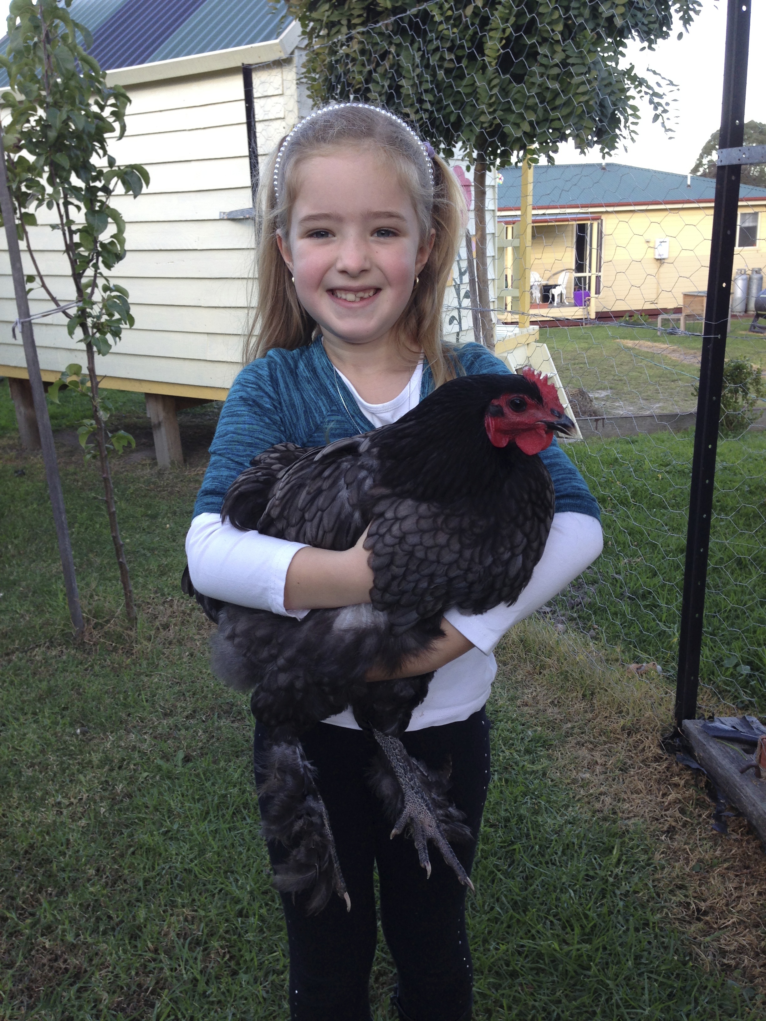 Chloe having a cuddle with Black Beauty.