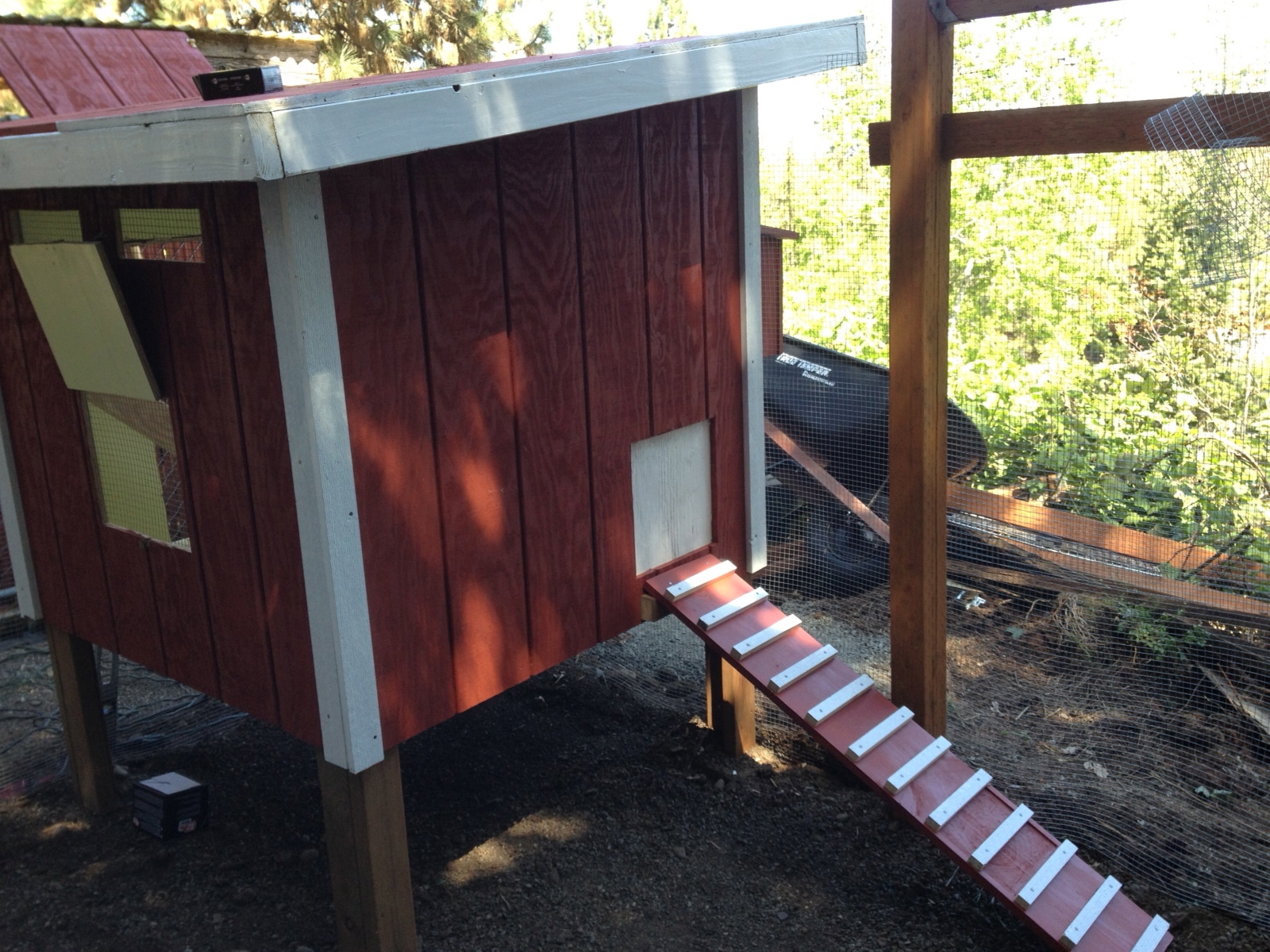 Chook ladder to the pulley door. Wonder if we can teach them to open and close the door on their own? ;)
