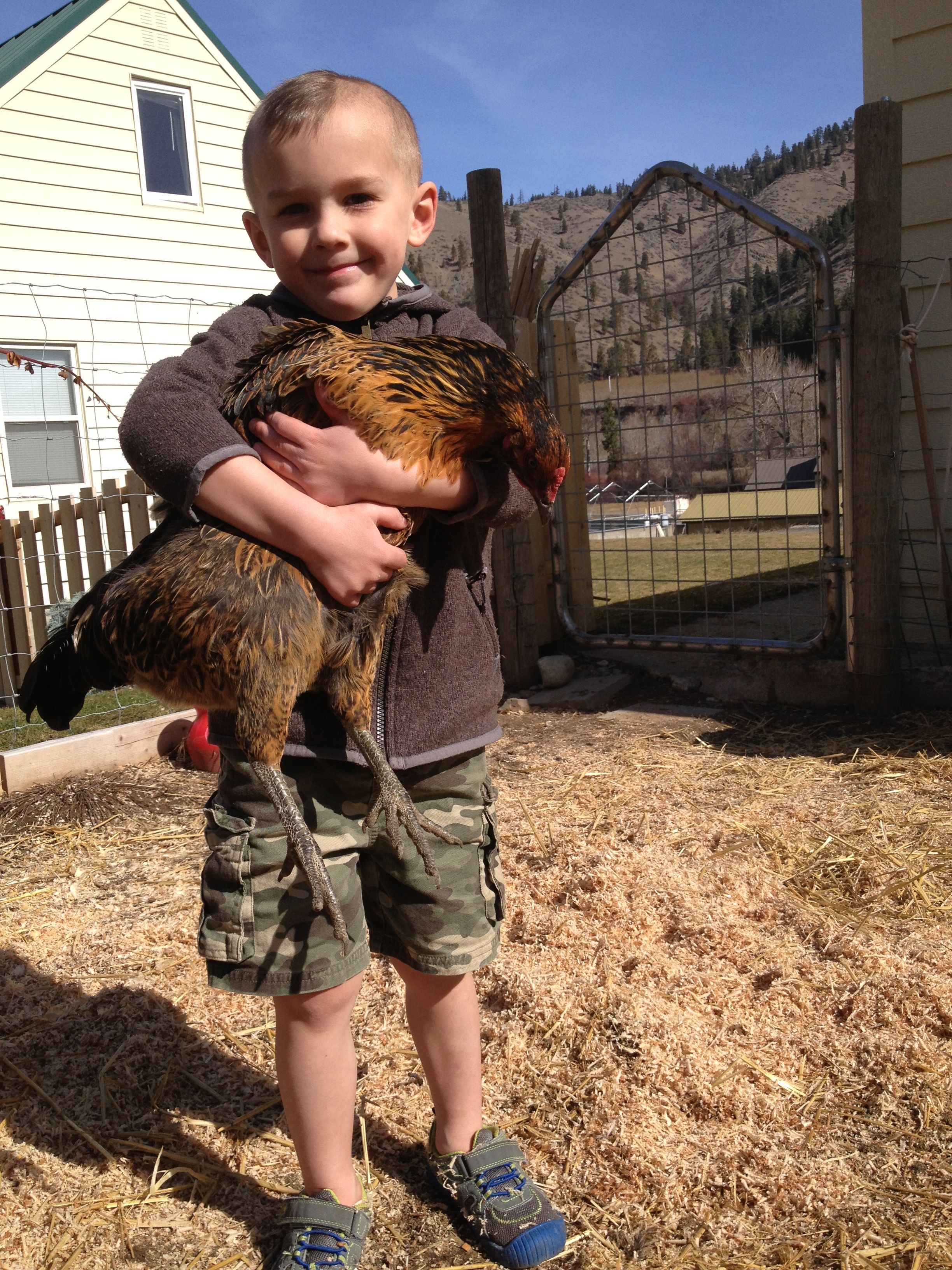Chrissy is the best chicken!