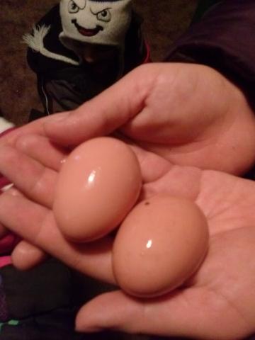 Christmas Eggs <3