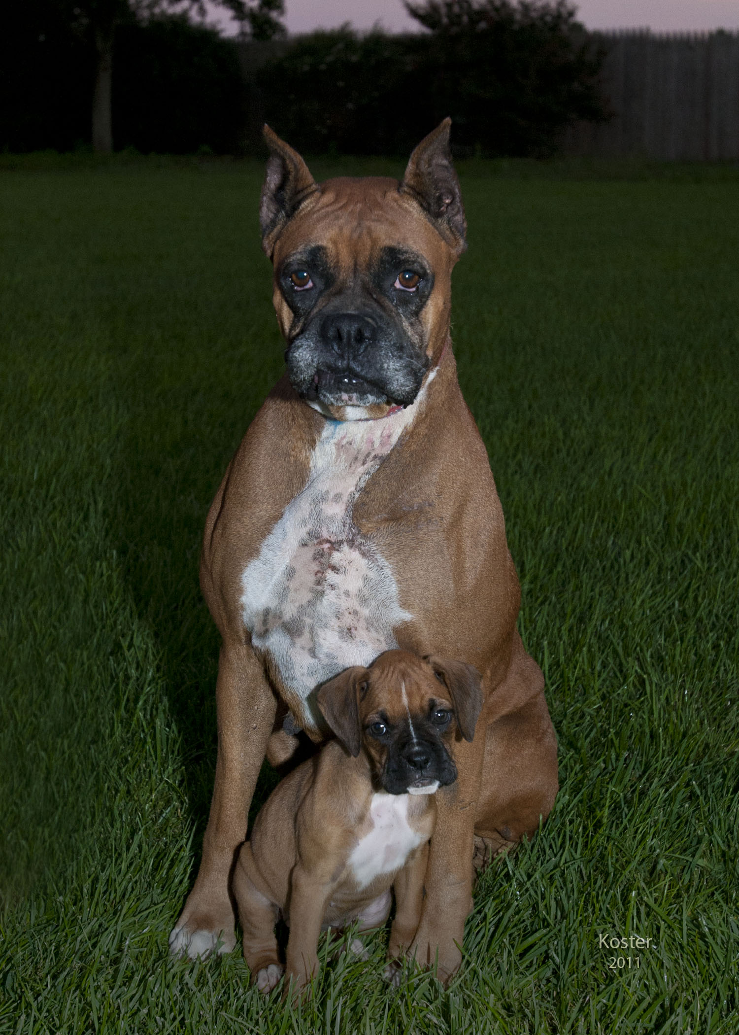 cider and her mom ,cider as a baby