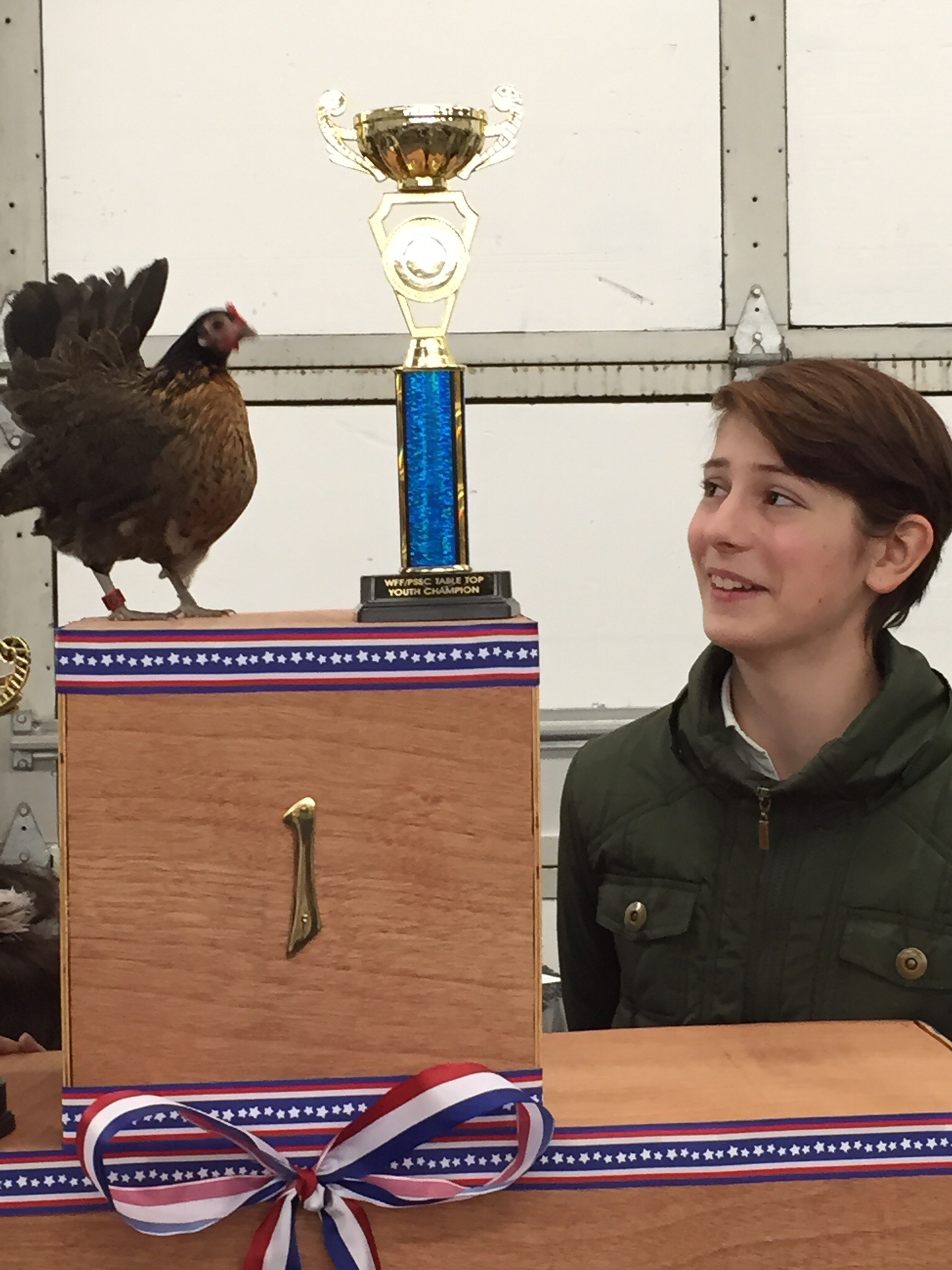 Cinnamon, junior table top champ