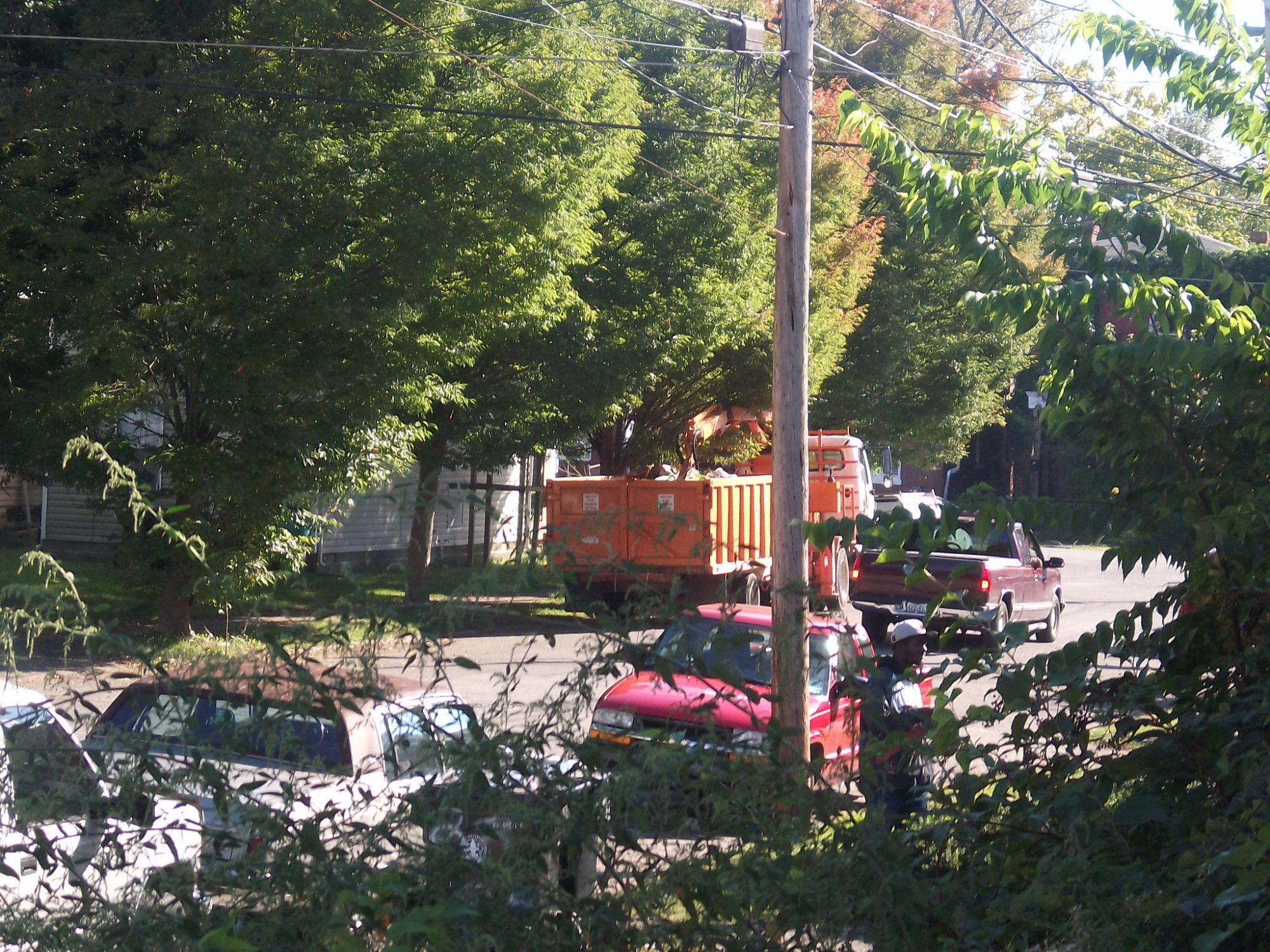 City tree removal trucks