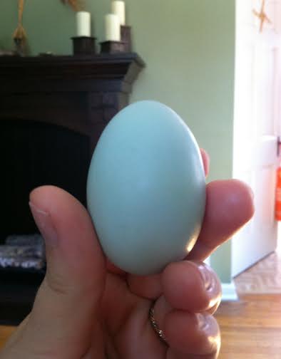 Clara's second egg laid Thursday, September 4th