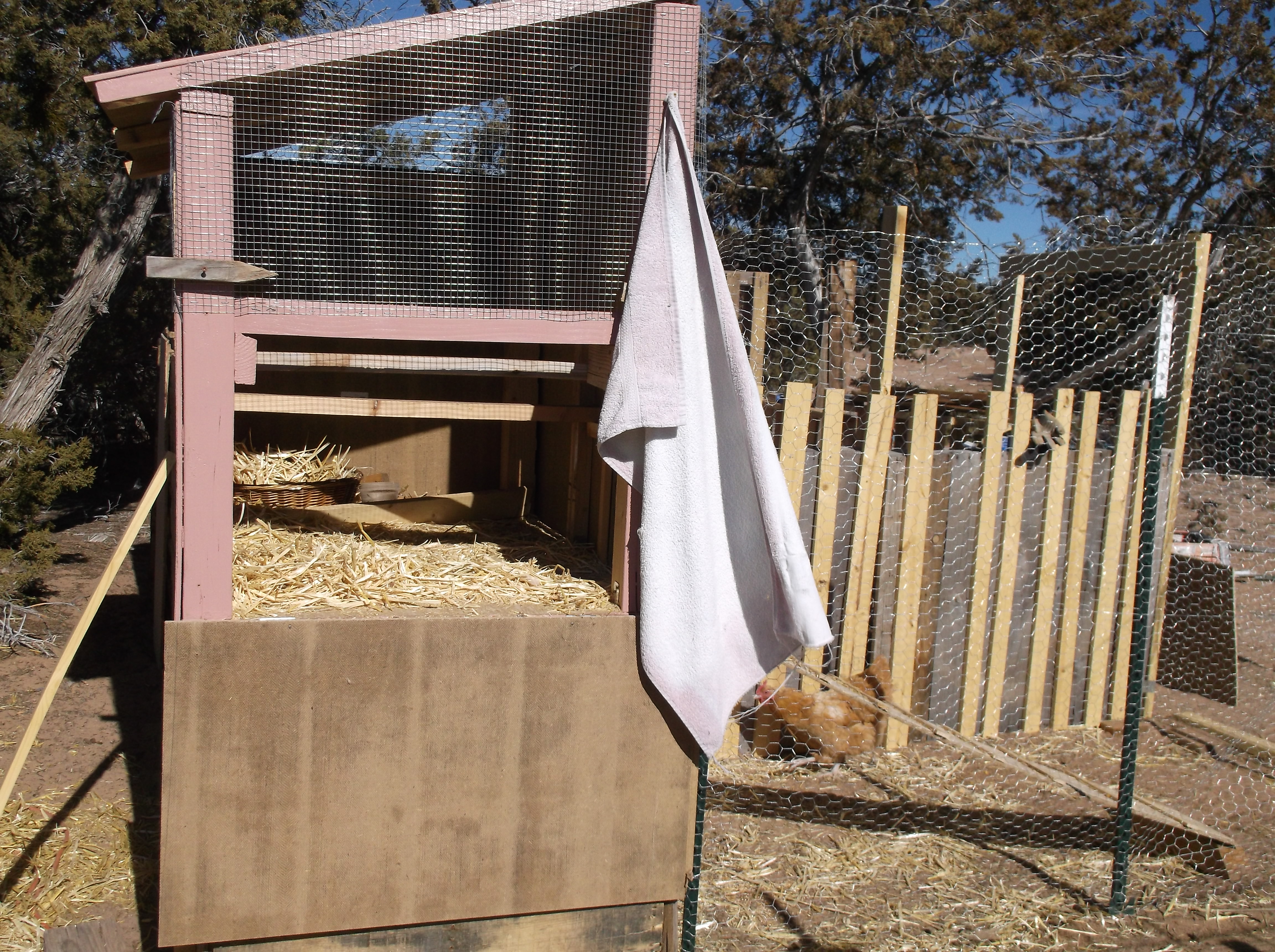 Clean out door opened. 1/29/14