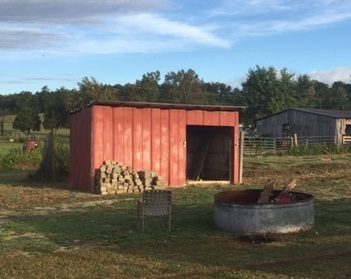 Cleaned the building out. At this point still using it to store scrap wood and misc. other items.