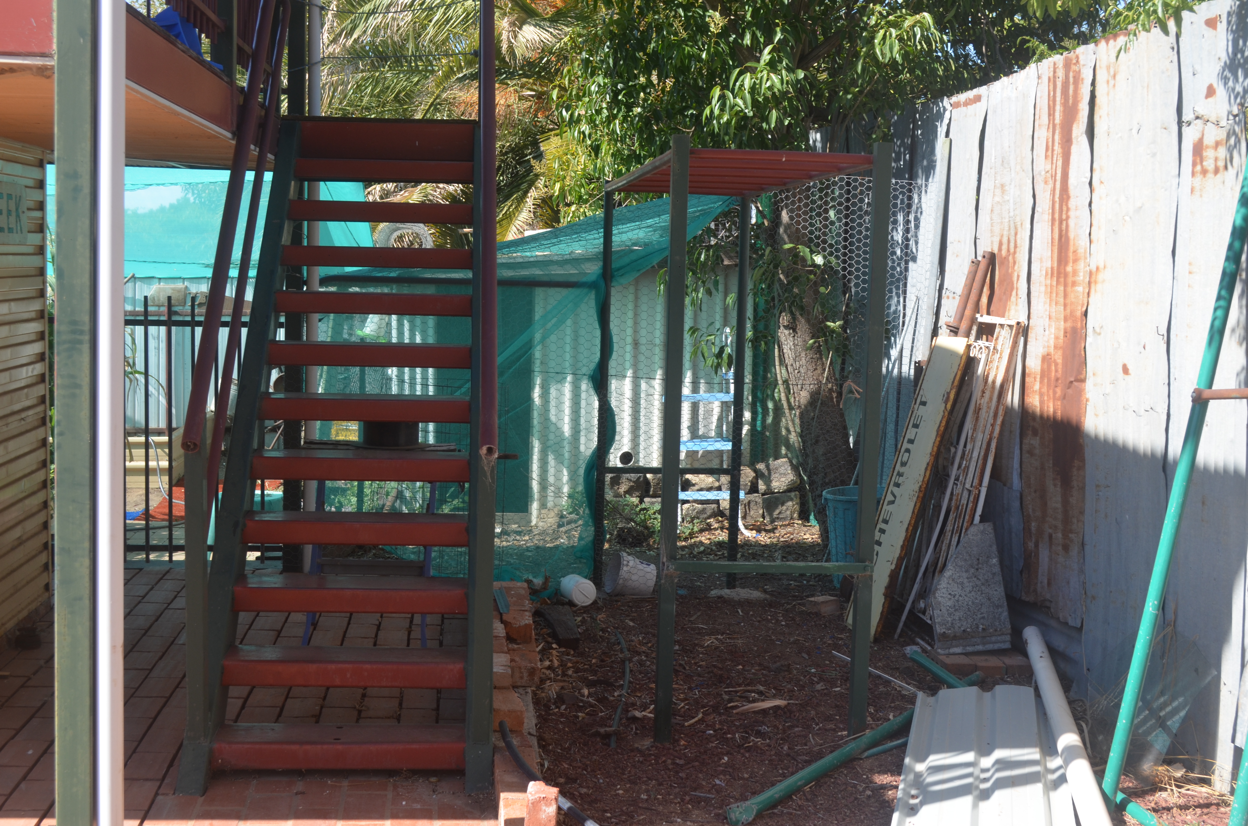 Cleaning up the backyard