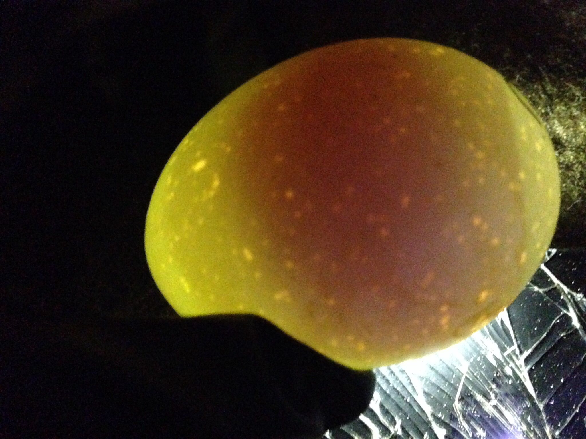 Clear - from other flock