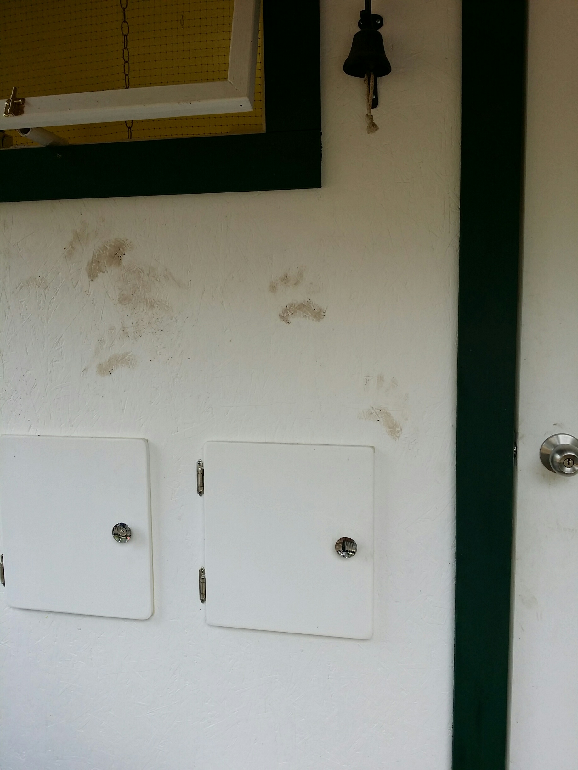 Close Call :0

I went outside this am and found what looks like to me as muddy bear paw prints. Good thing he never climbed through the window. There is hardware cloth over the window but I'm pretty sure if he wanted to get in hardware cloth was not going to stop him. Very close call.