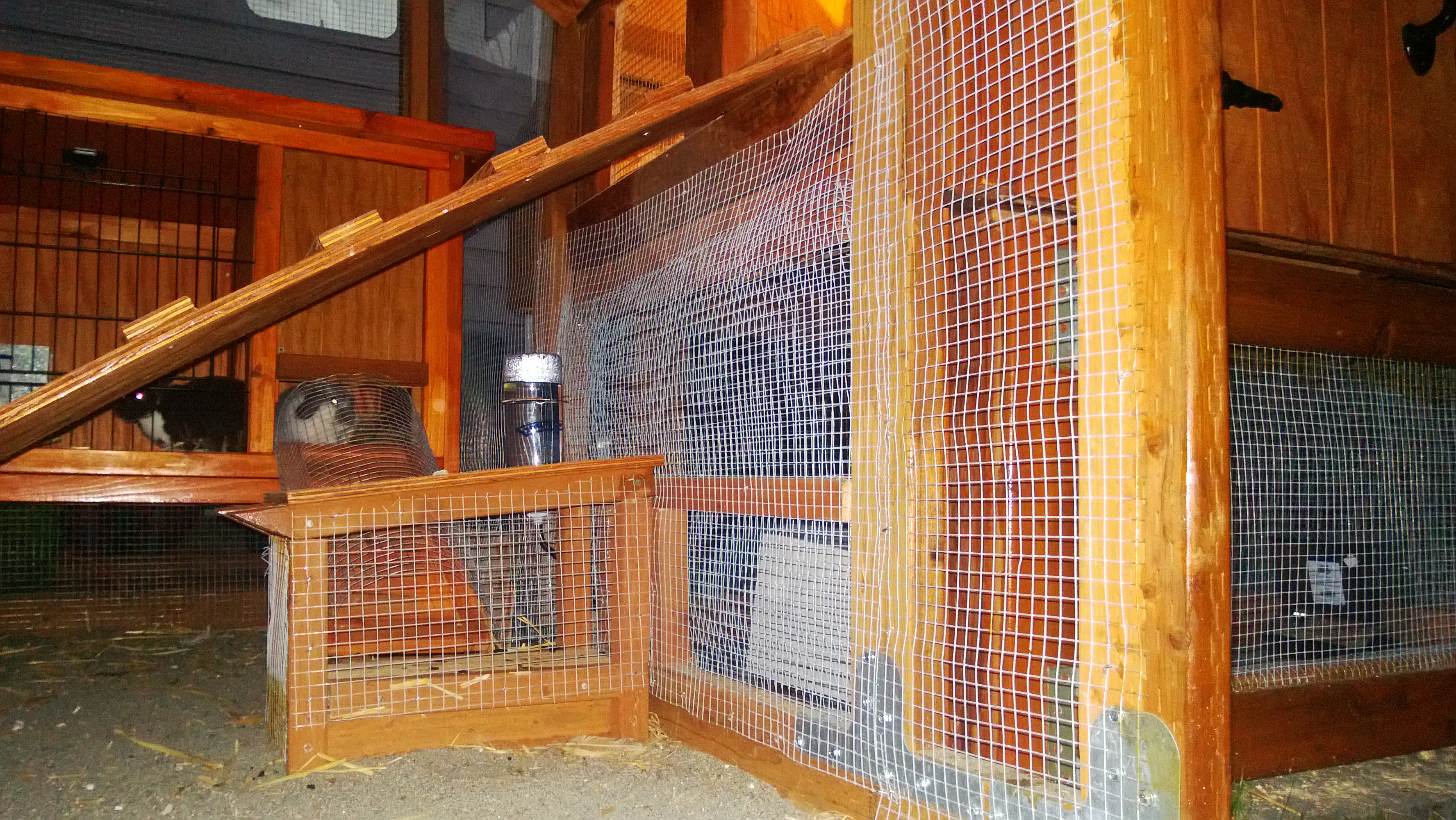 Close up of chicken ladder and rabbit ladder/tunnel