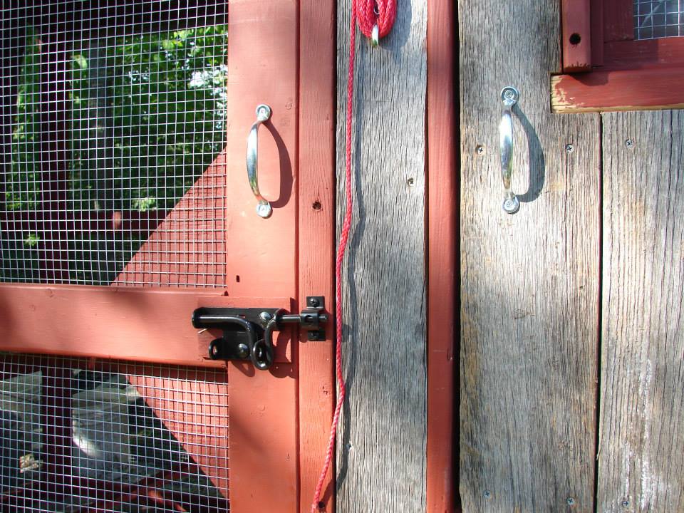 Close up of coop and run doors, handles, and latch.