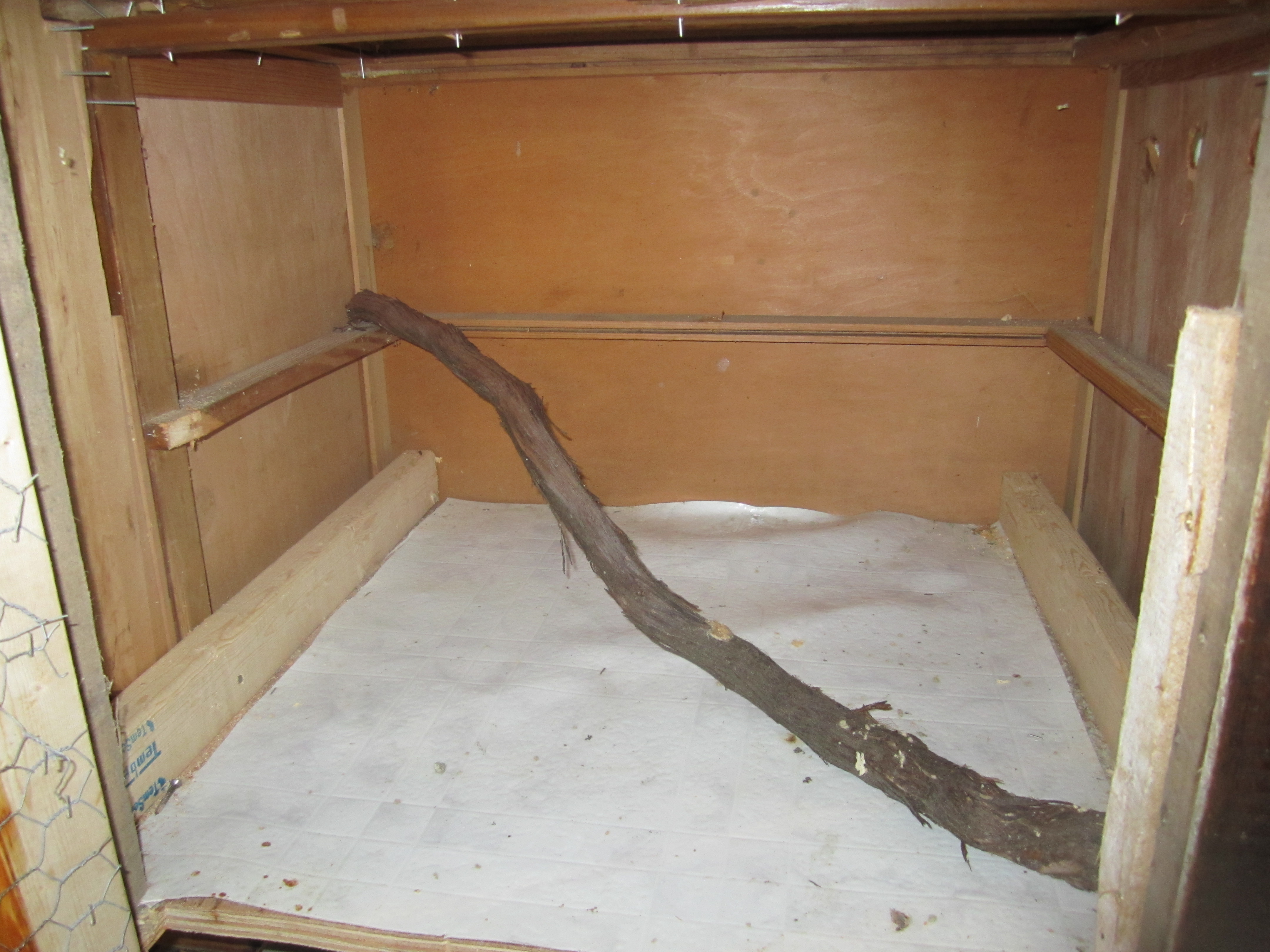 Close up of lower level with to be installed water vine roost bar