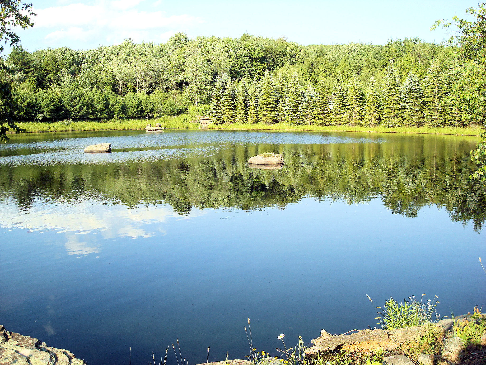 Close up of the lake.