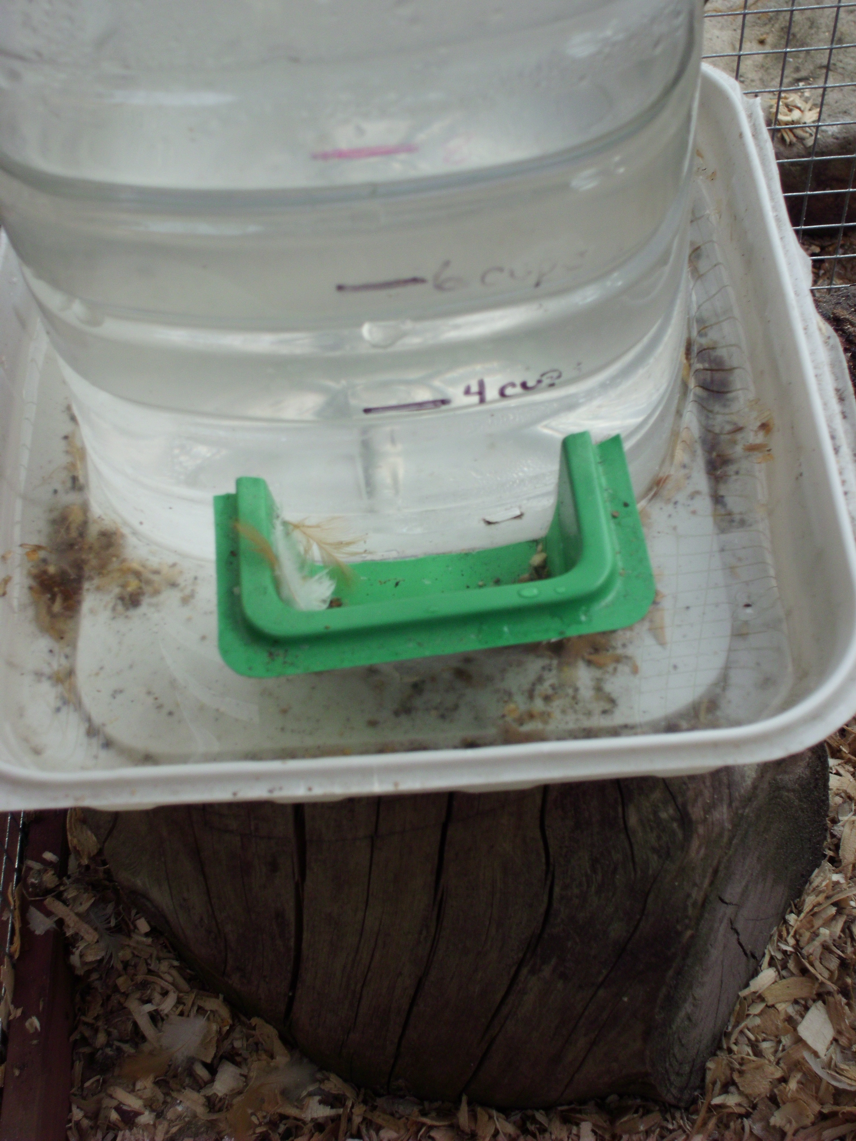 close up of waterer. It's kinda dirty here but I did clean it out later.