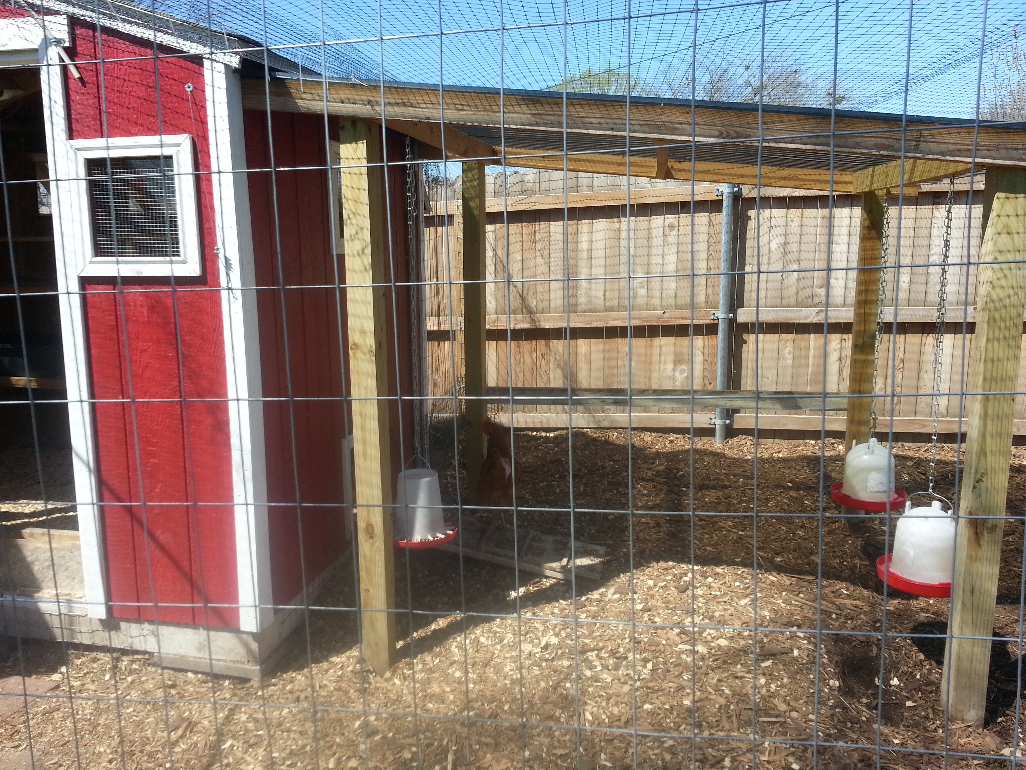 close-up view from side of yard