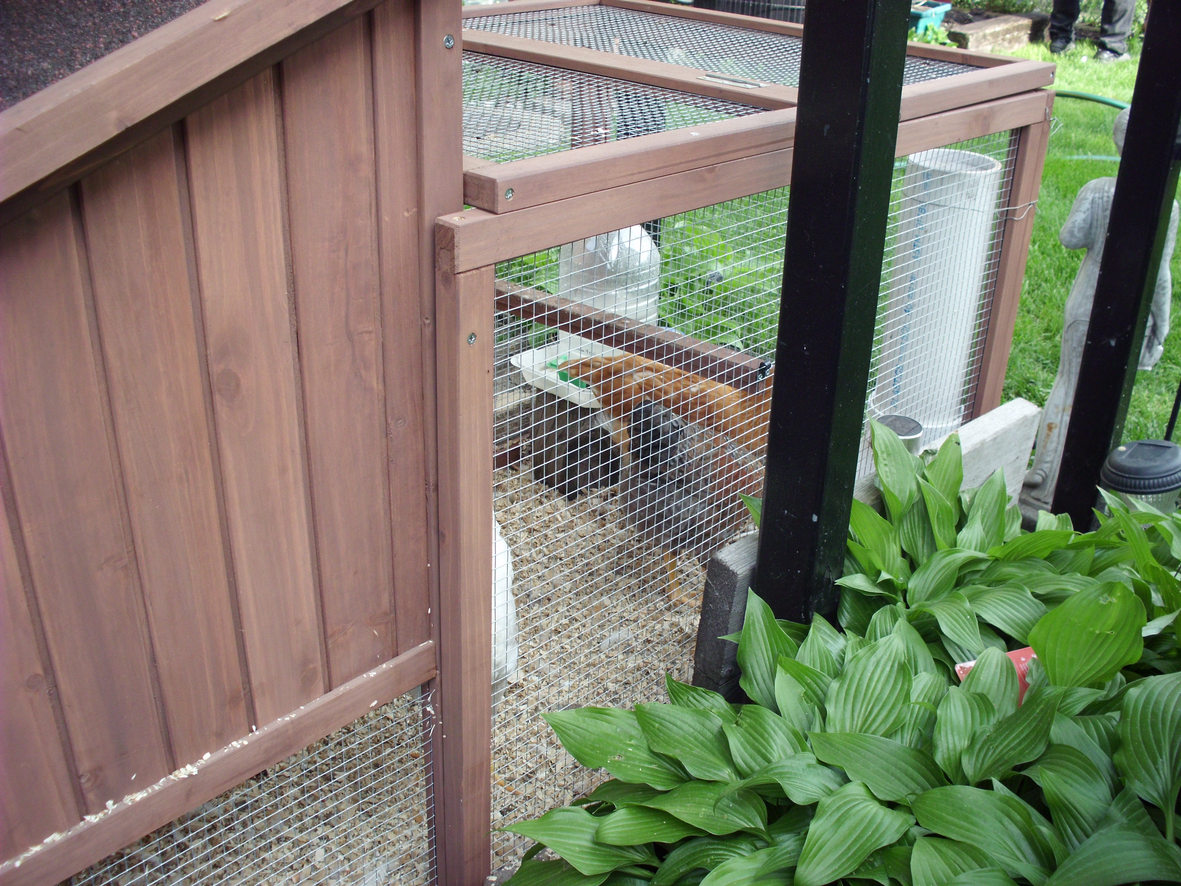 close up with feeder visible