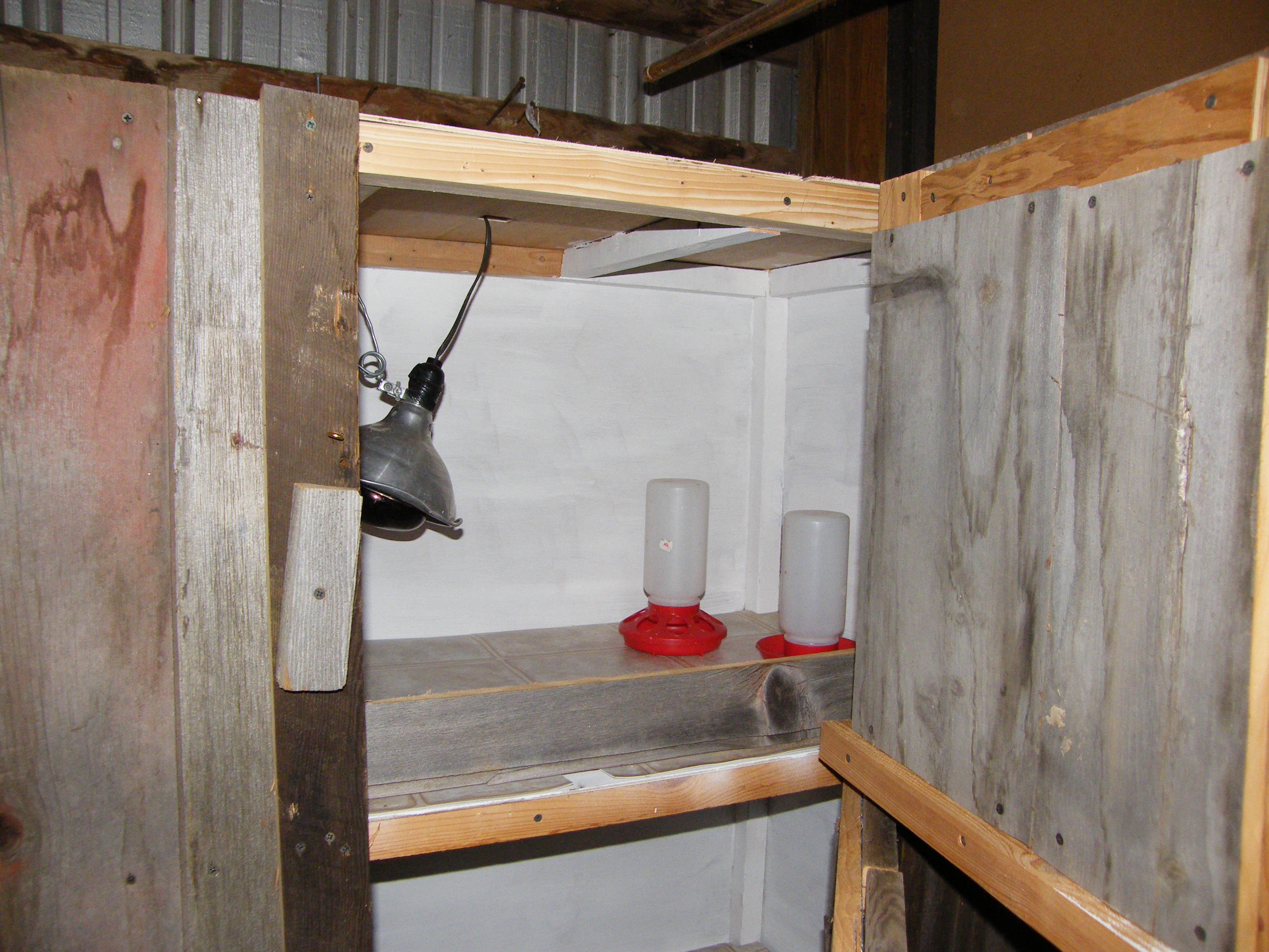 closed off the chicken-wire in the door for now, but this is removable so when they get older they see when Im  coming!!