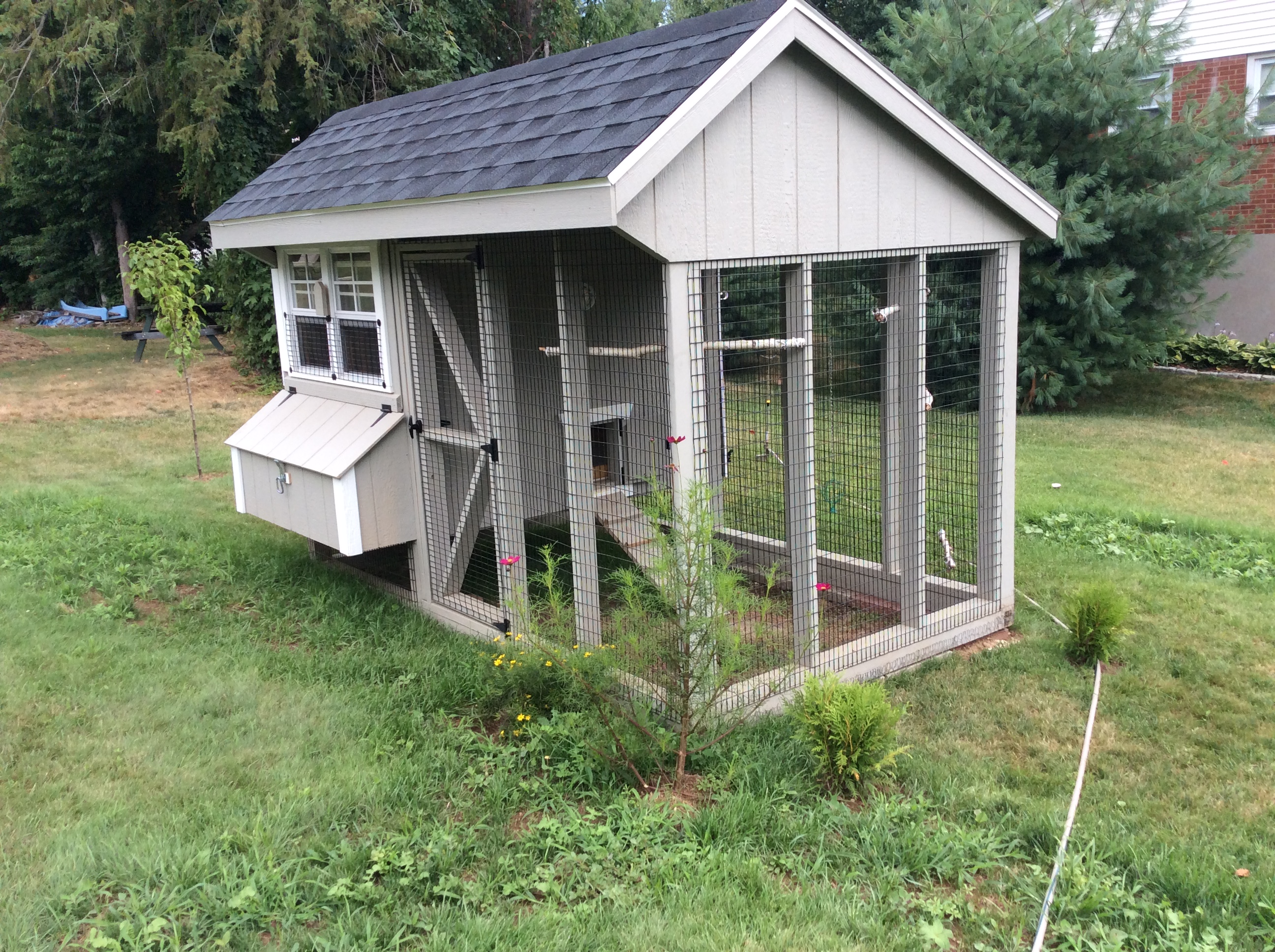 Closer look at coop (don't mind the hose) planted some stuff so it doesn't look like coop fell from the sky. I will plant more eventually for wind-break and shade for the Ladies