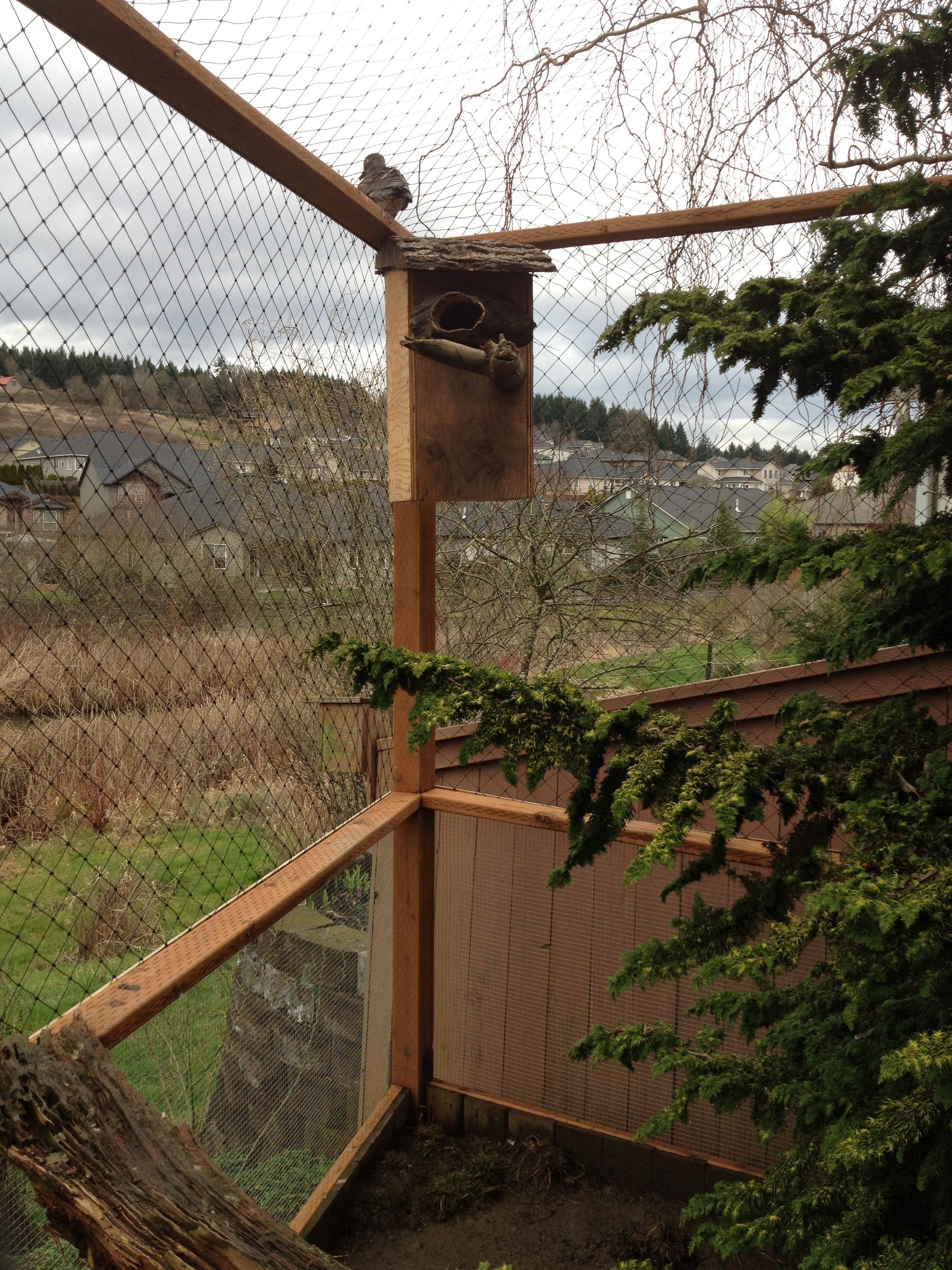 Closer to natural cavity entrance nest box.