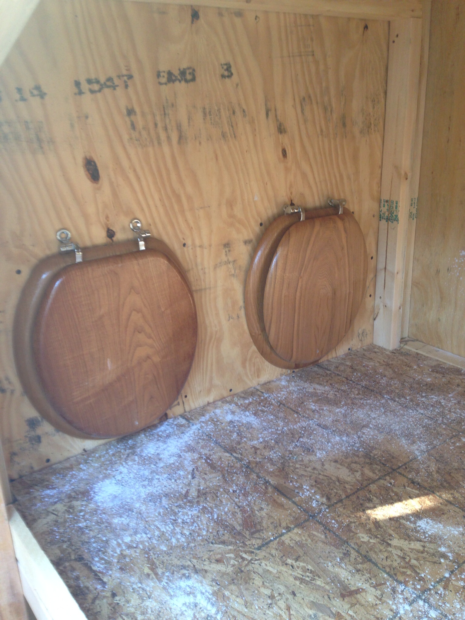 Closing the nest boxes for right now since the chooks are just 16 weeks old