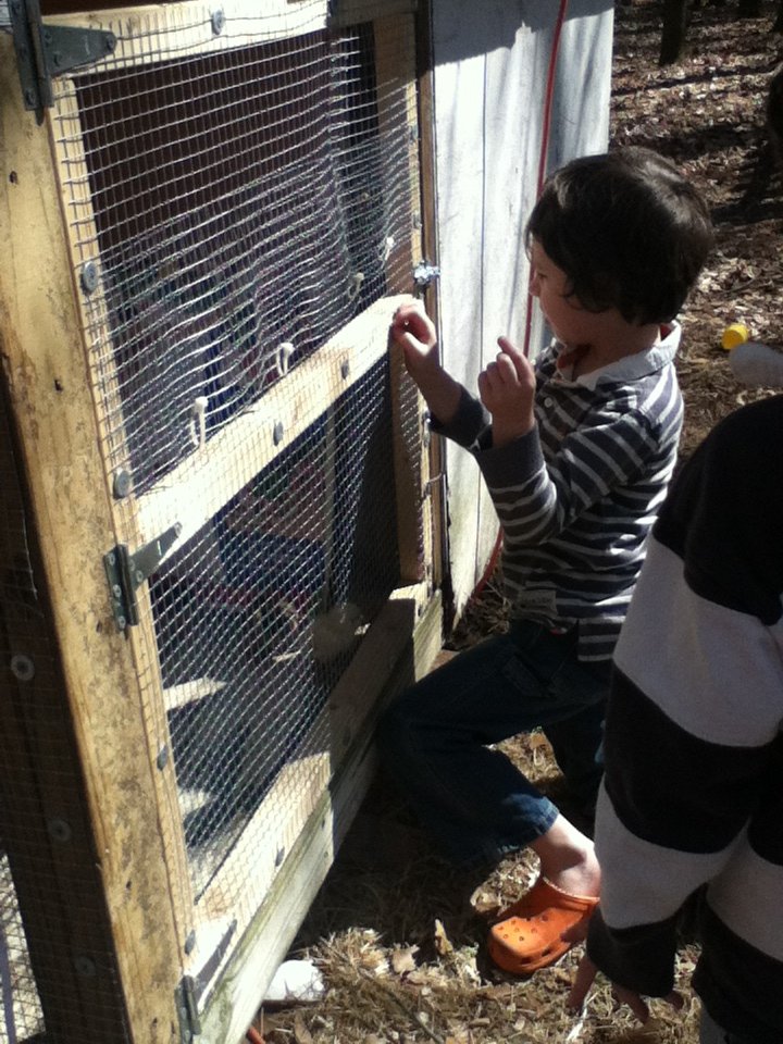 closing up the brooder