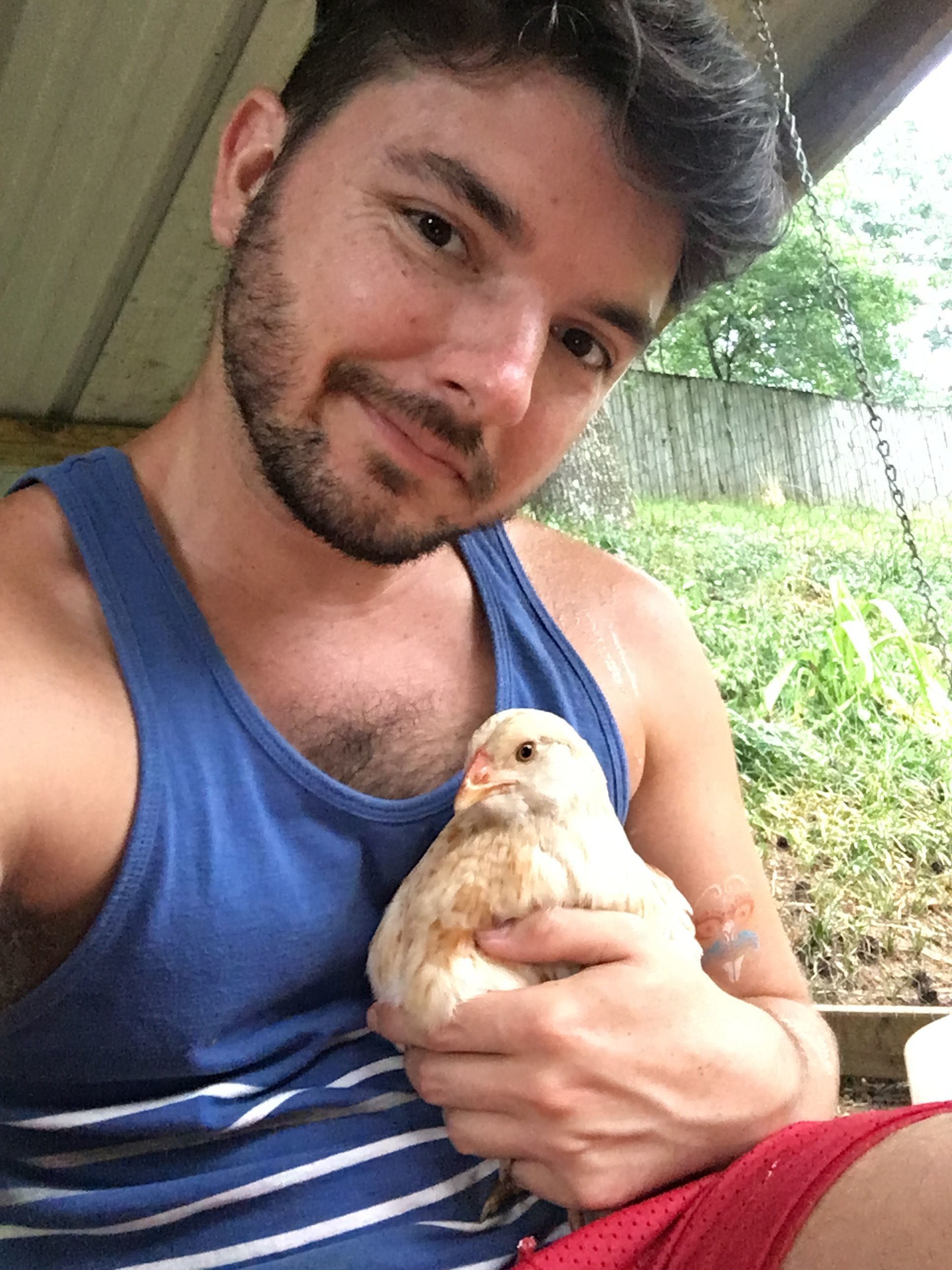 Clydie the Easter egg (mix)'s first day in her new home.