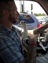 Co-pilot