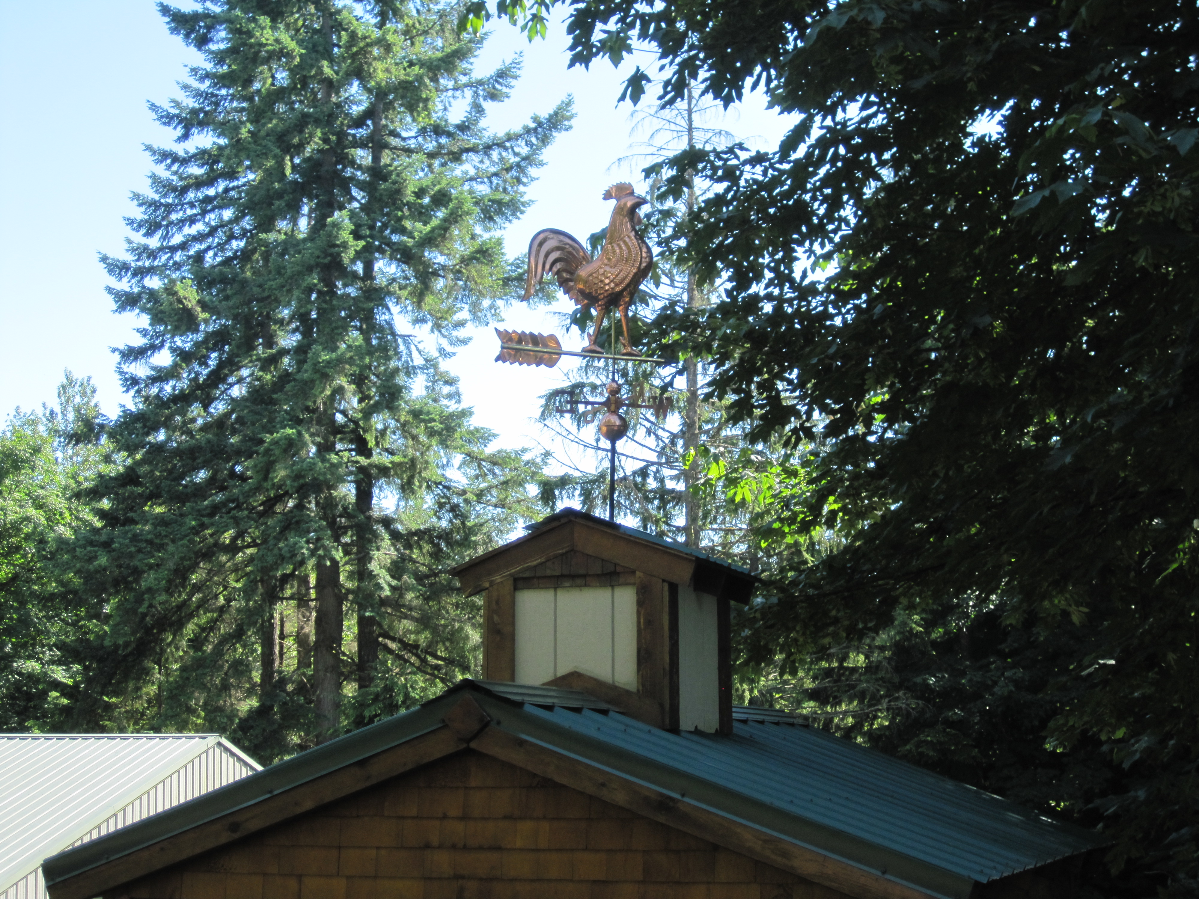 Cock a doodle doo! We originally built this little tool shed to support the cupola I needed for my Rooster weather vane. Honey saw no correlation between the two.