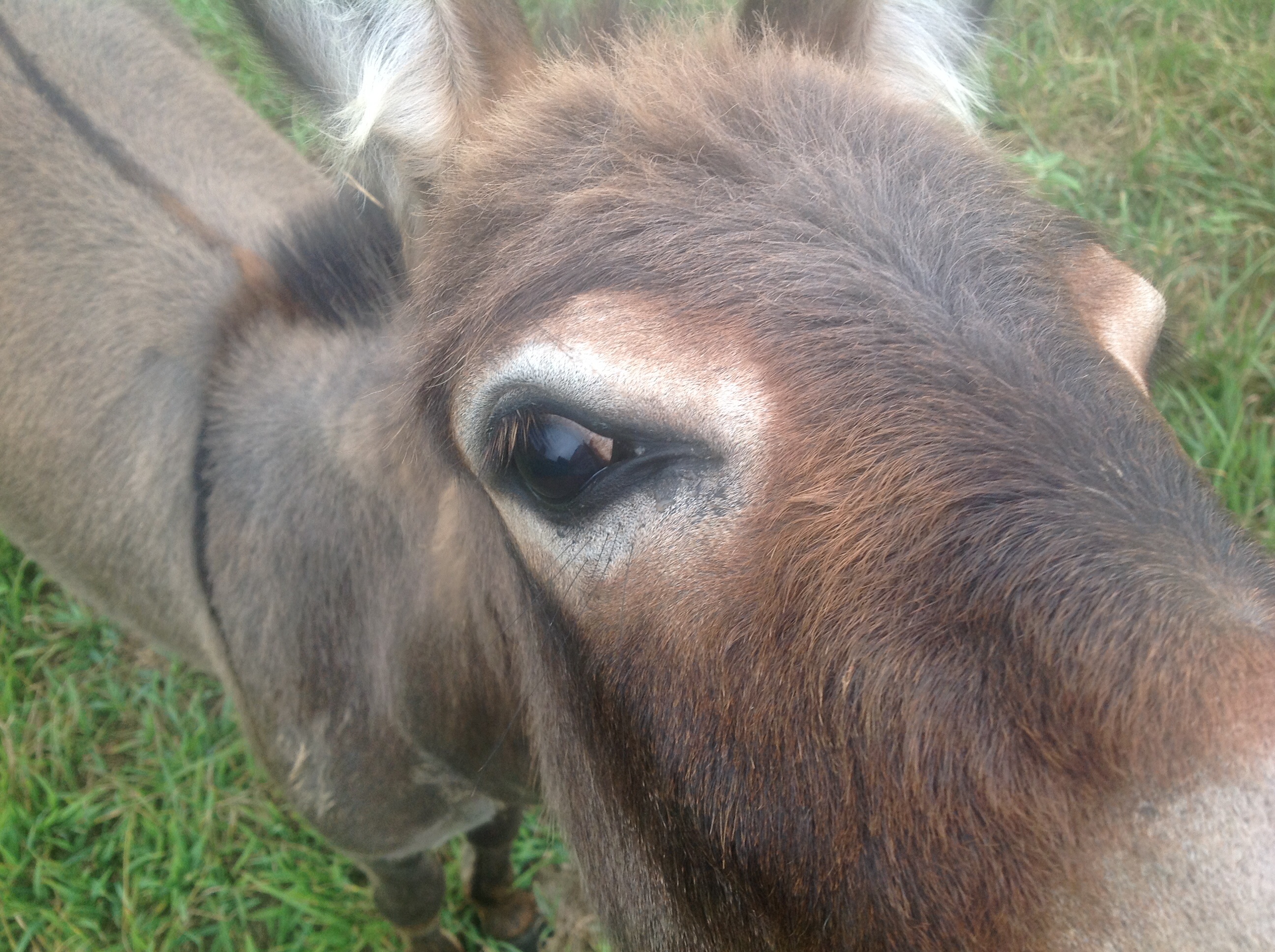 Coco, up close and personal!
