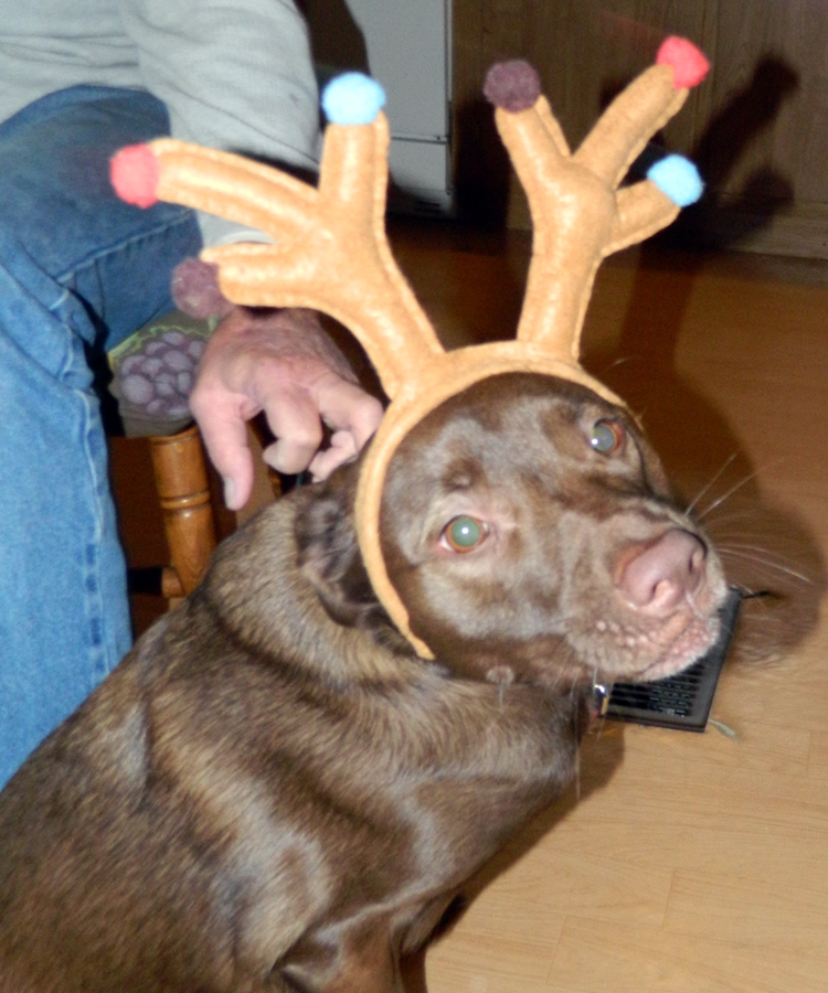 Cocoa