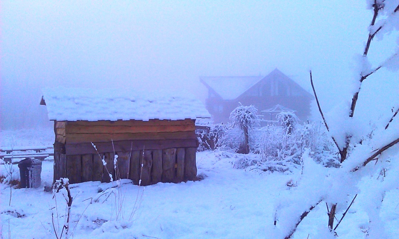 Cold Early Morning snow & fog but we still got a 4:15 wake up call!!