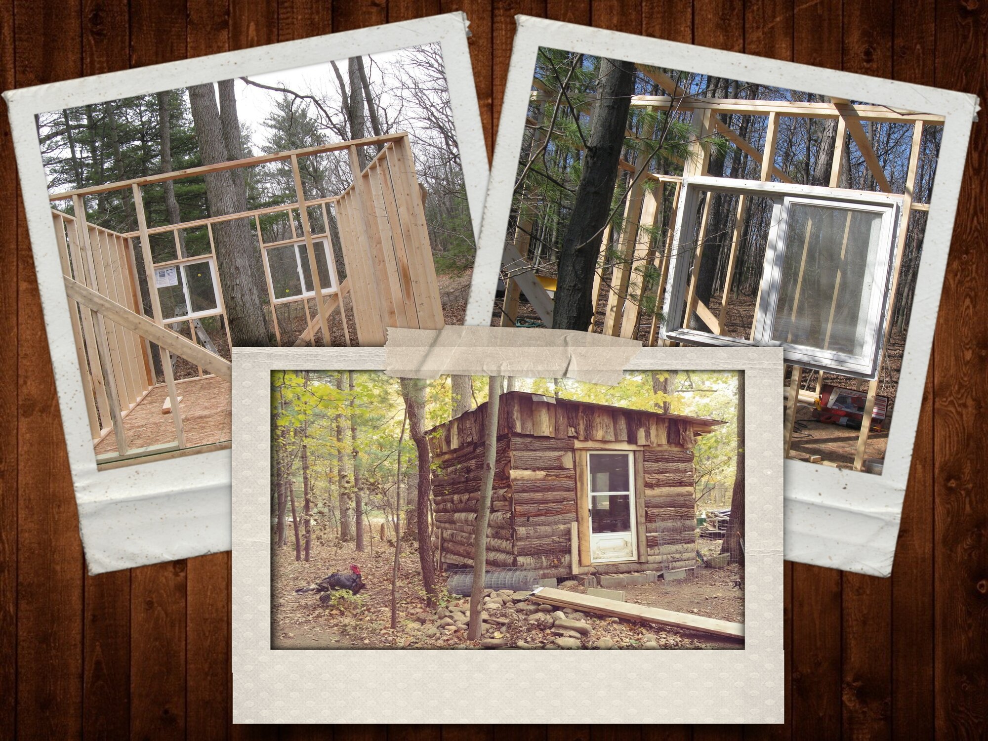 collage_scrounging_1 (2).jpg