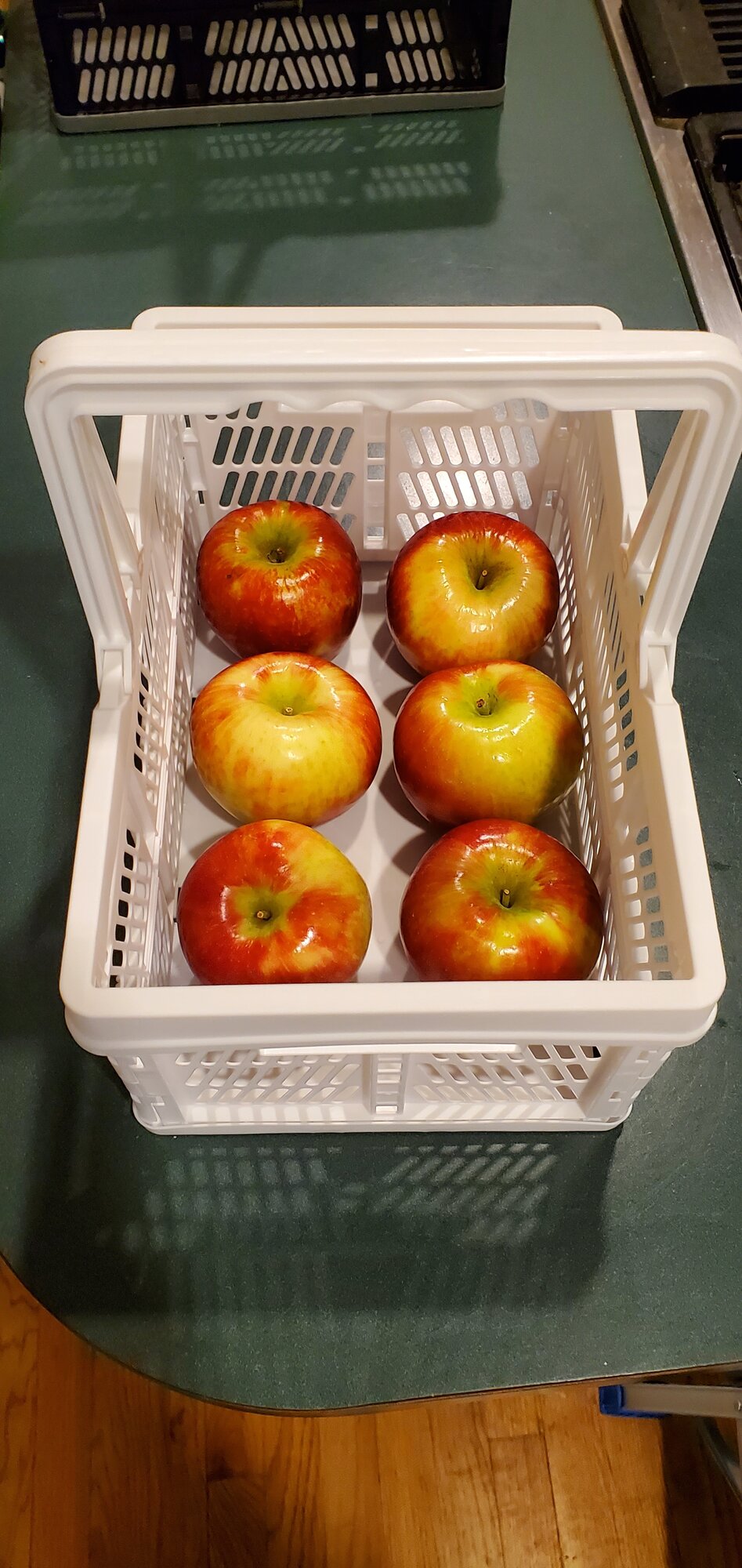 Collapsible Baskets from 💲🌳