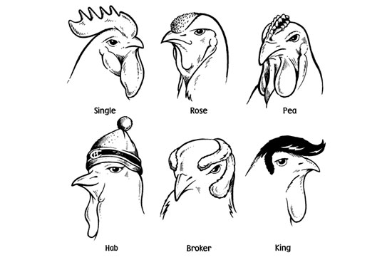 Comb overs