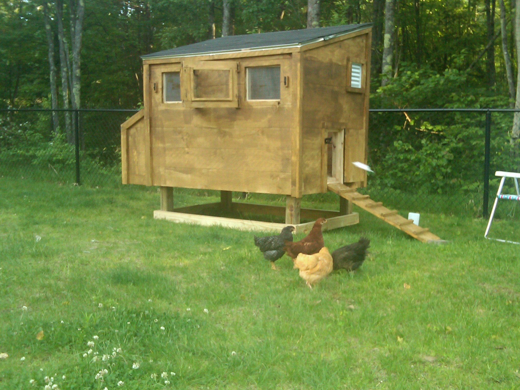 Comfty coop for the girls with three nesting boxes.